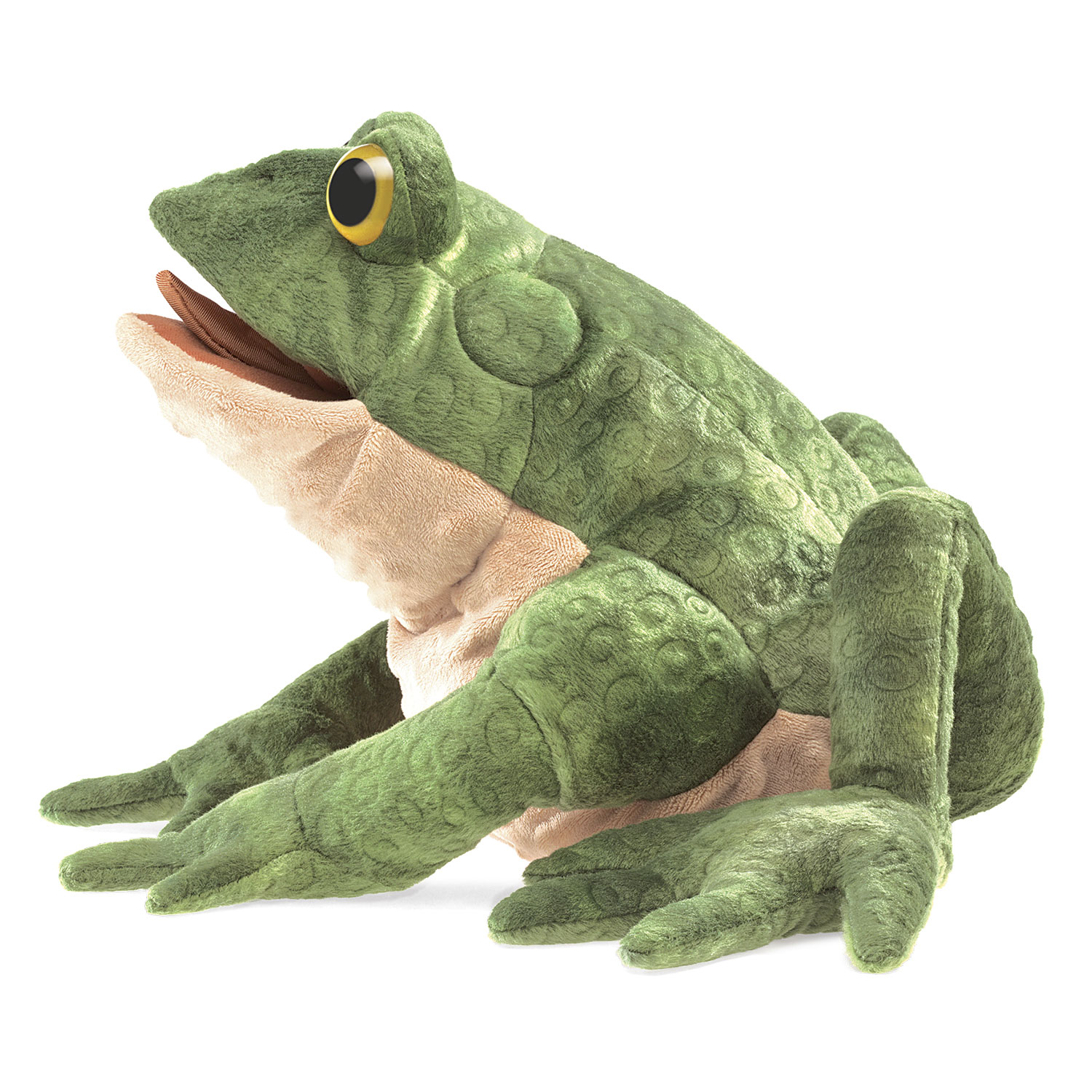 Toad
