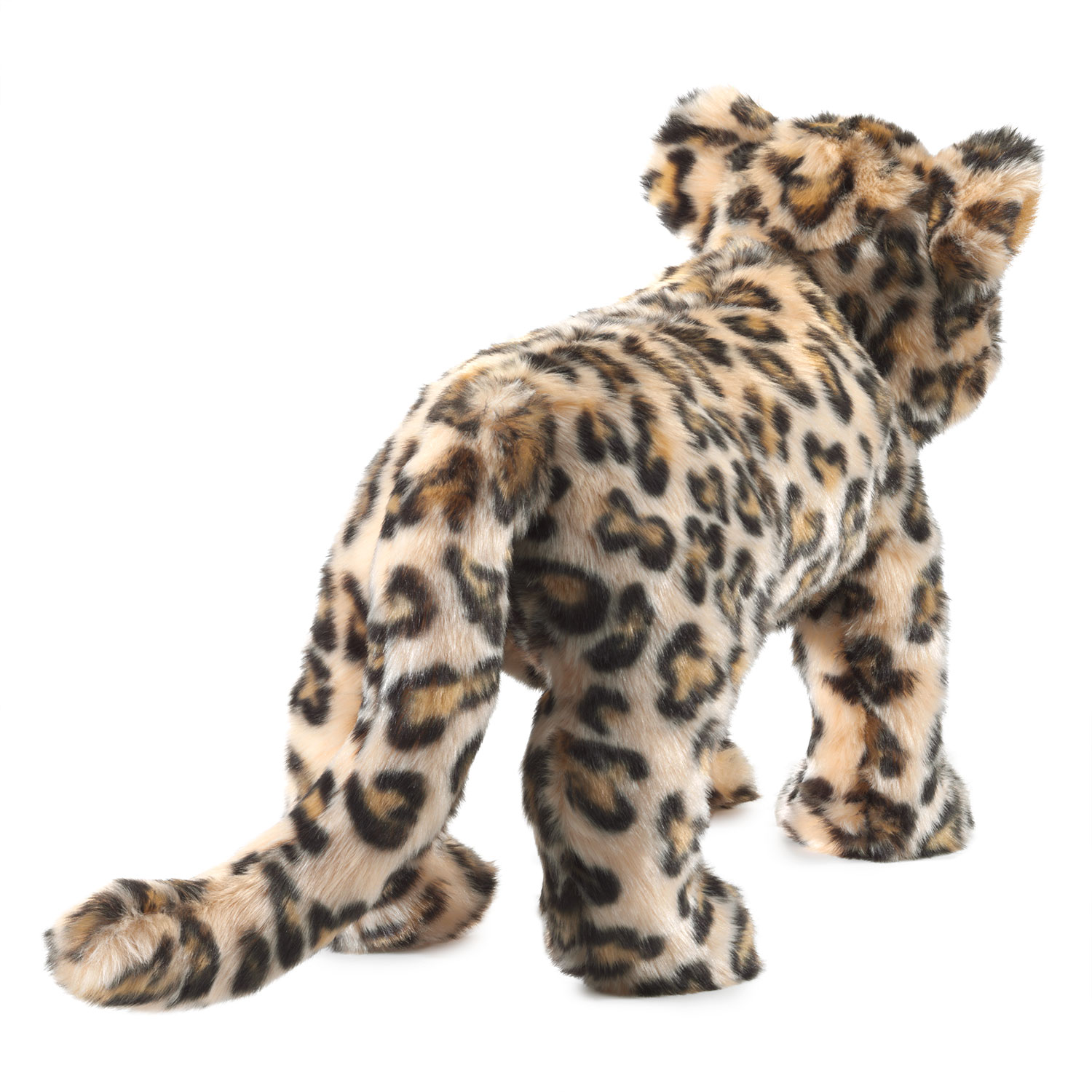 Leopard Cub