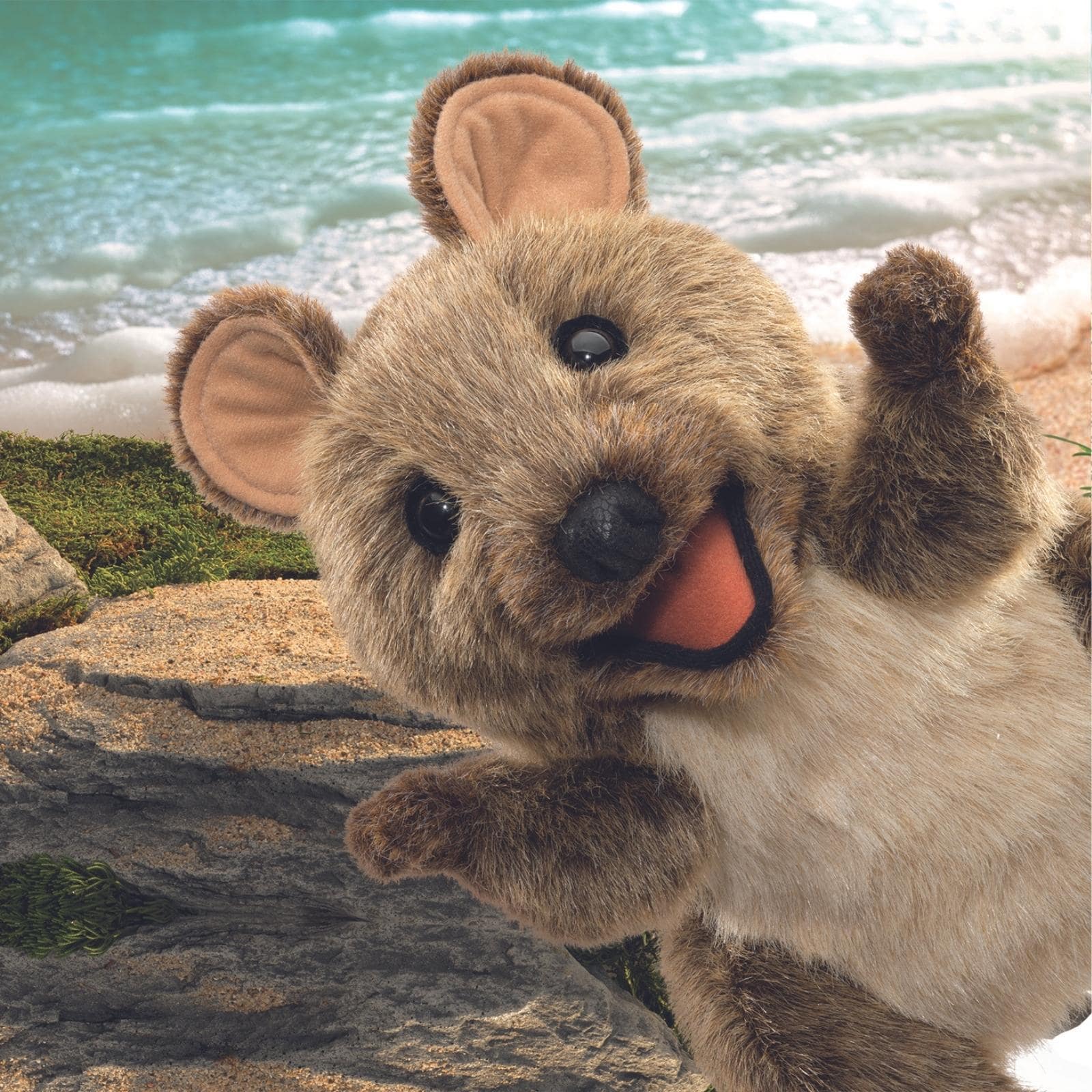 Quokka