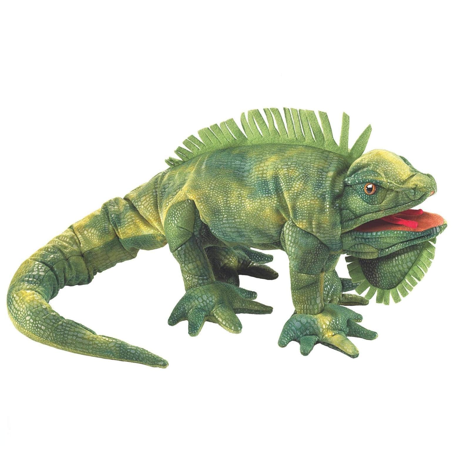 Iguana