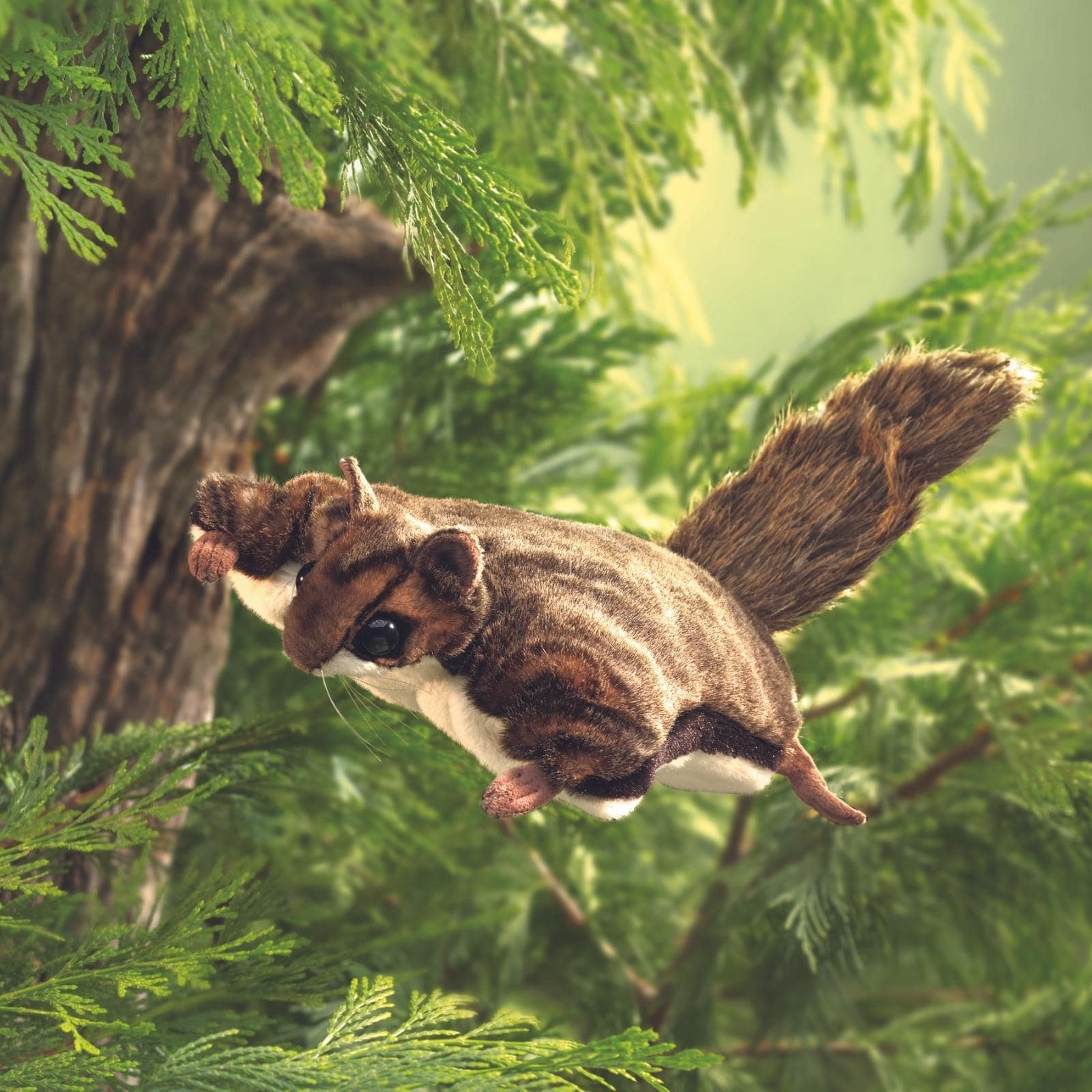 Flying Squirrel