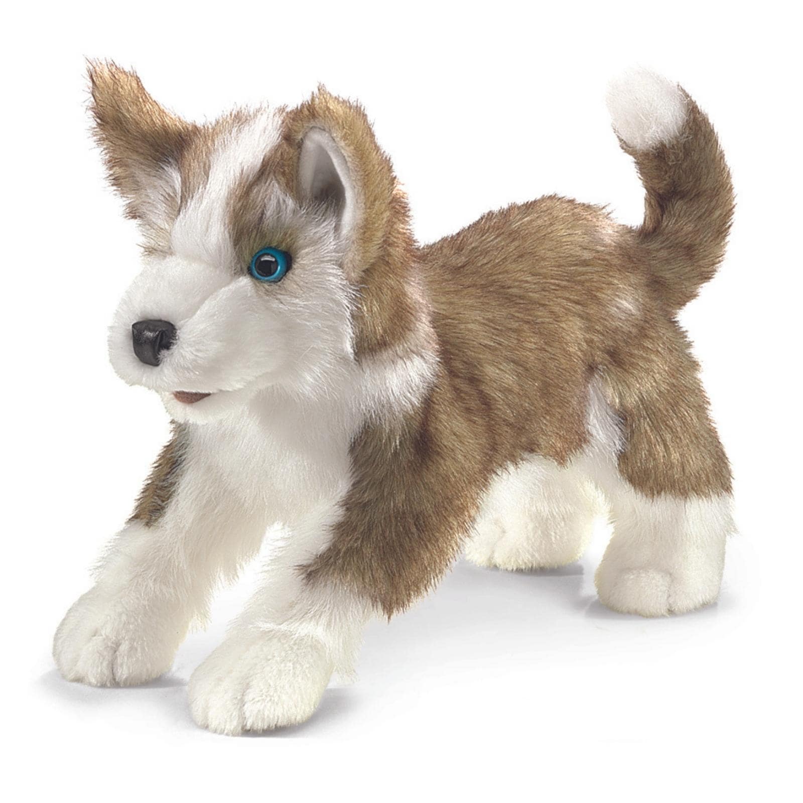 Wolf Pup