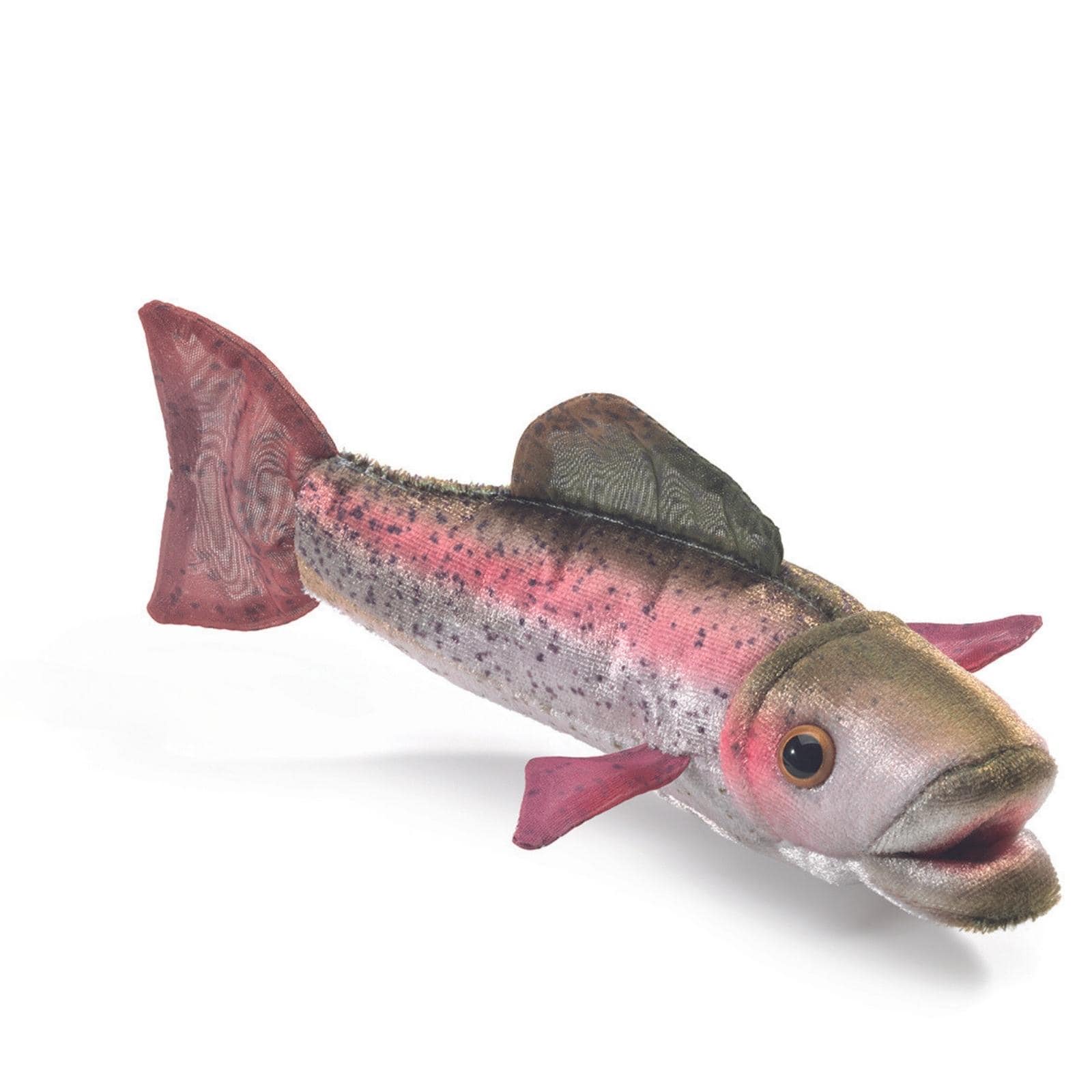 Mini Rainbow Trout
