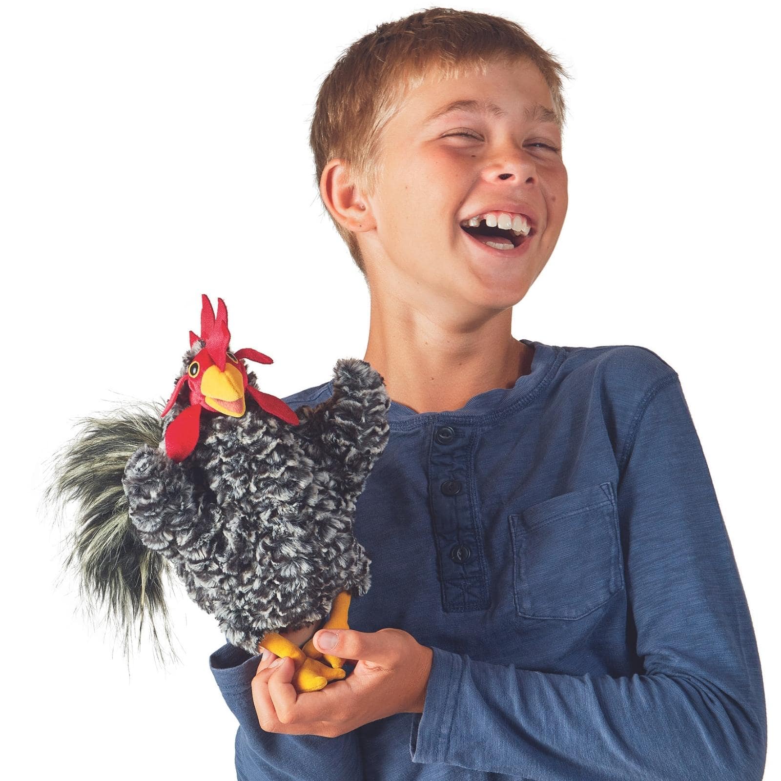 Barred Rock Rooster