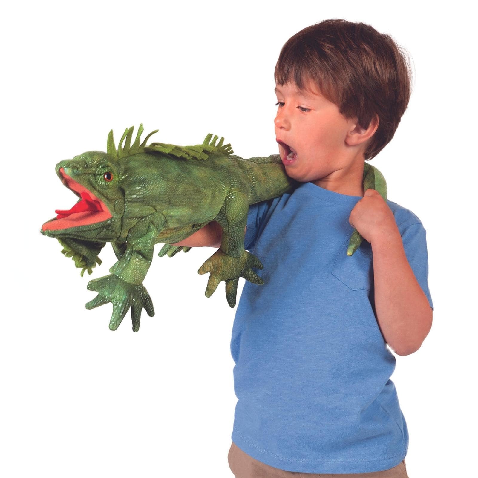 Iguana