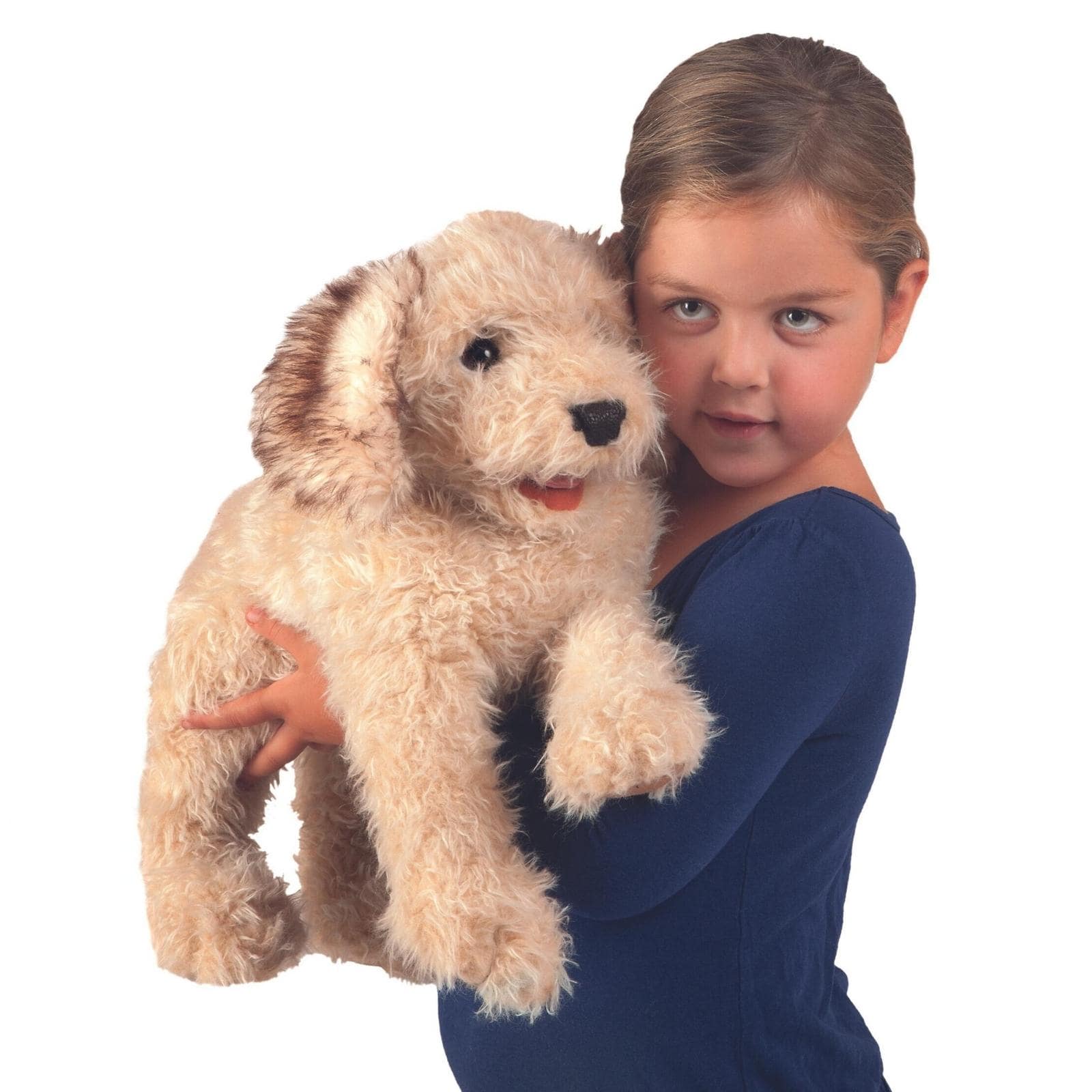 Labradoodle