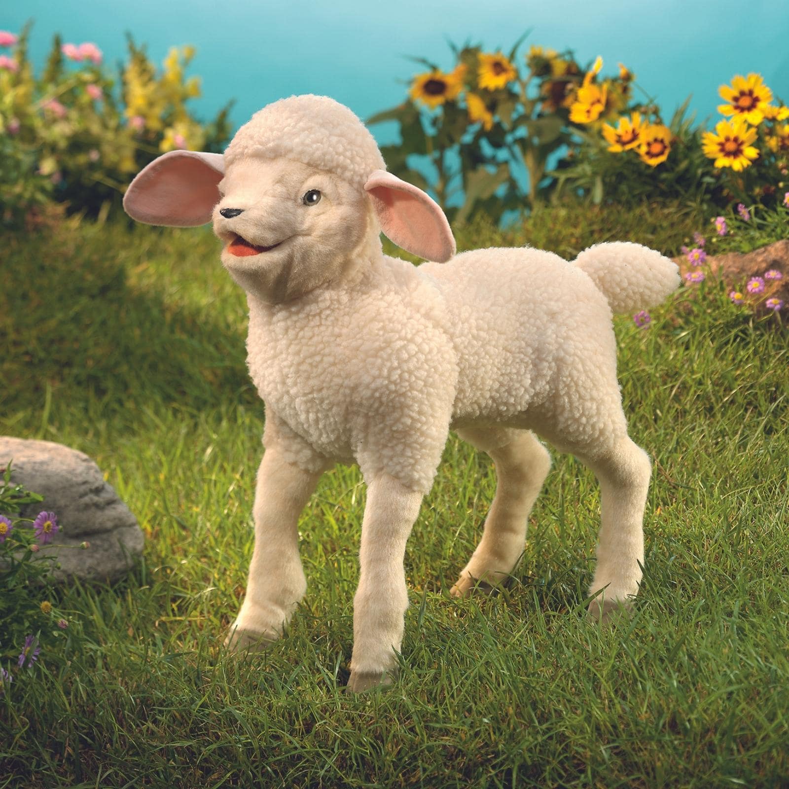 Lambkin