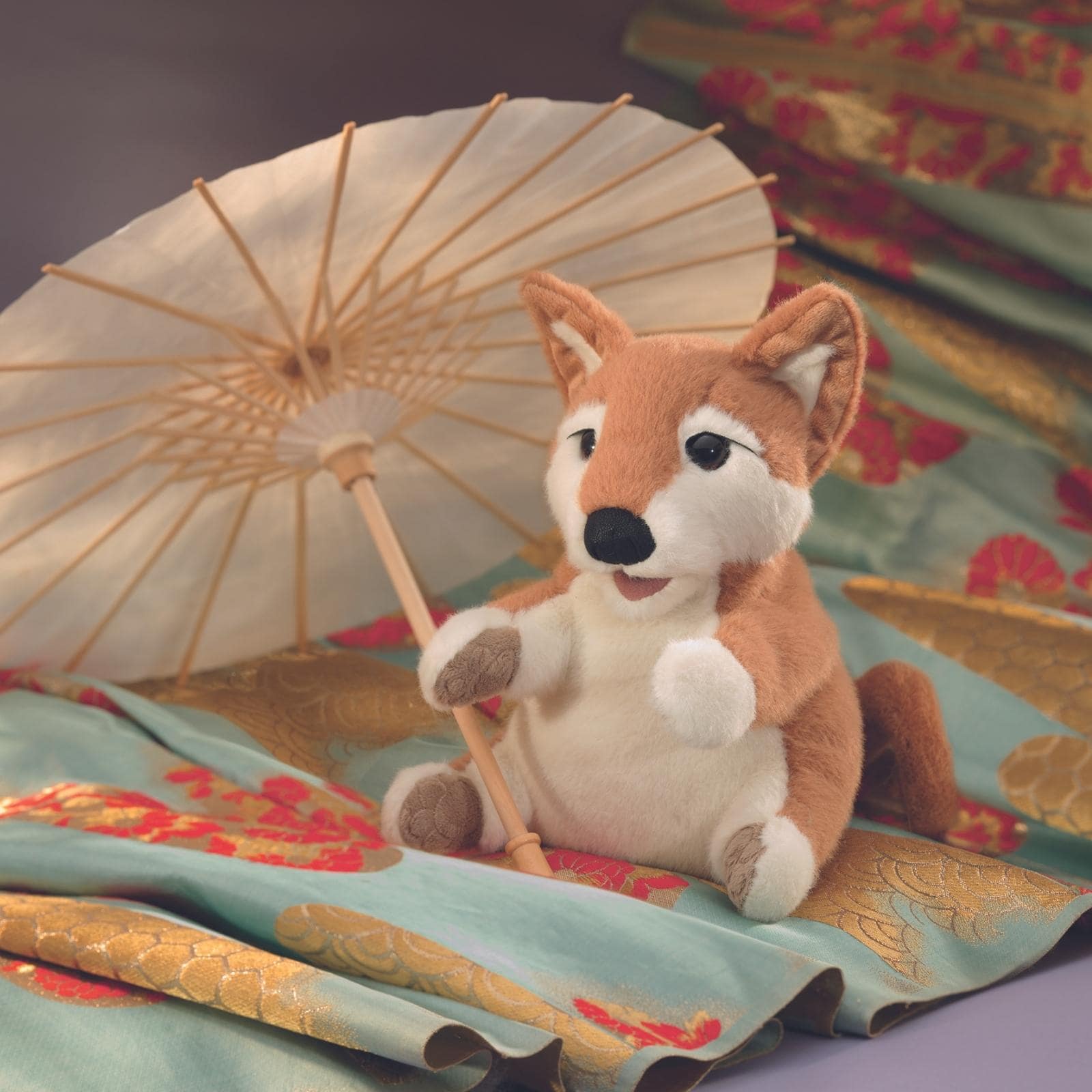 Shibu Inu Puppy
