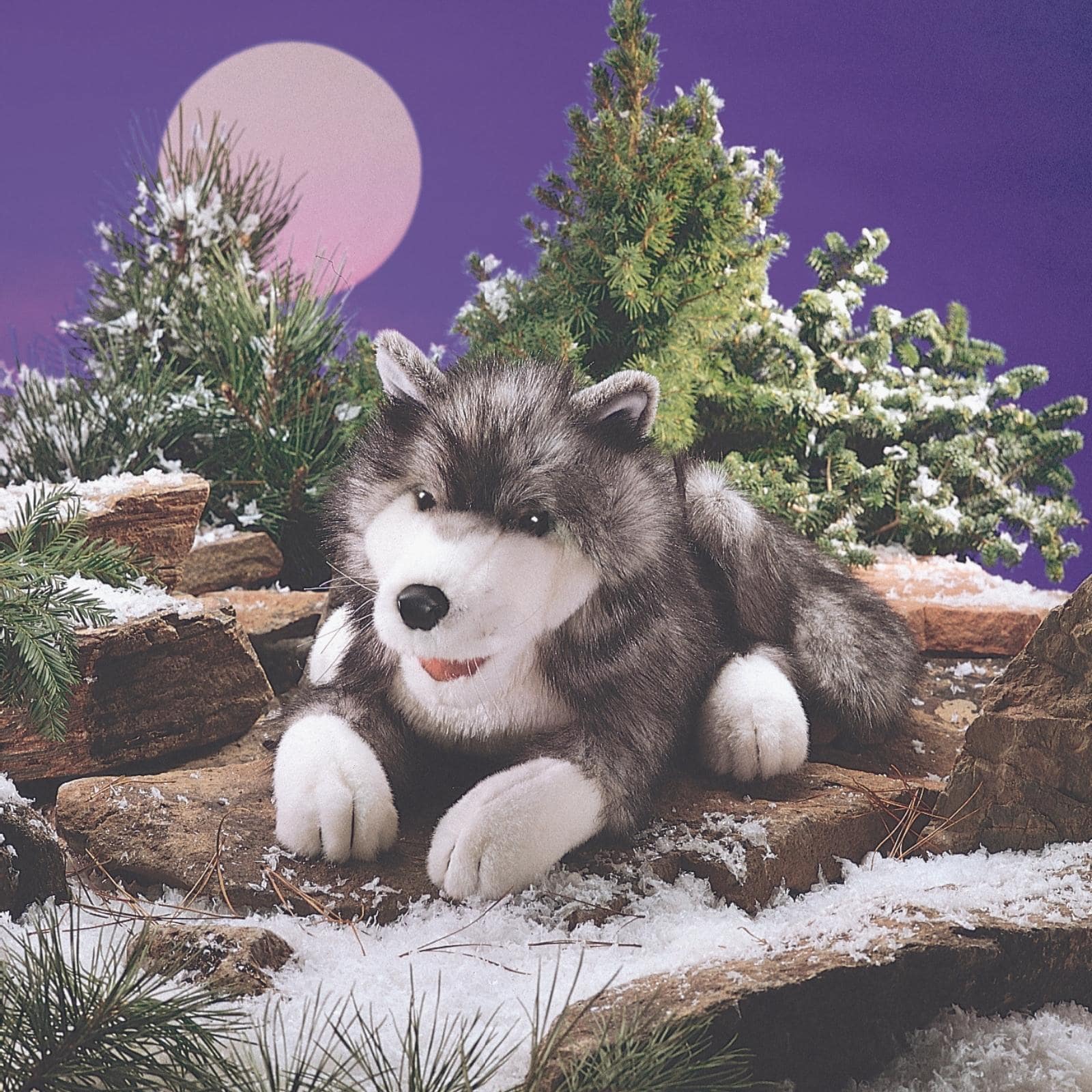 Timber Wolf