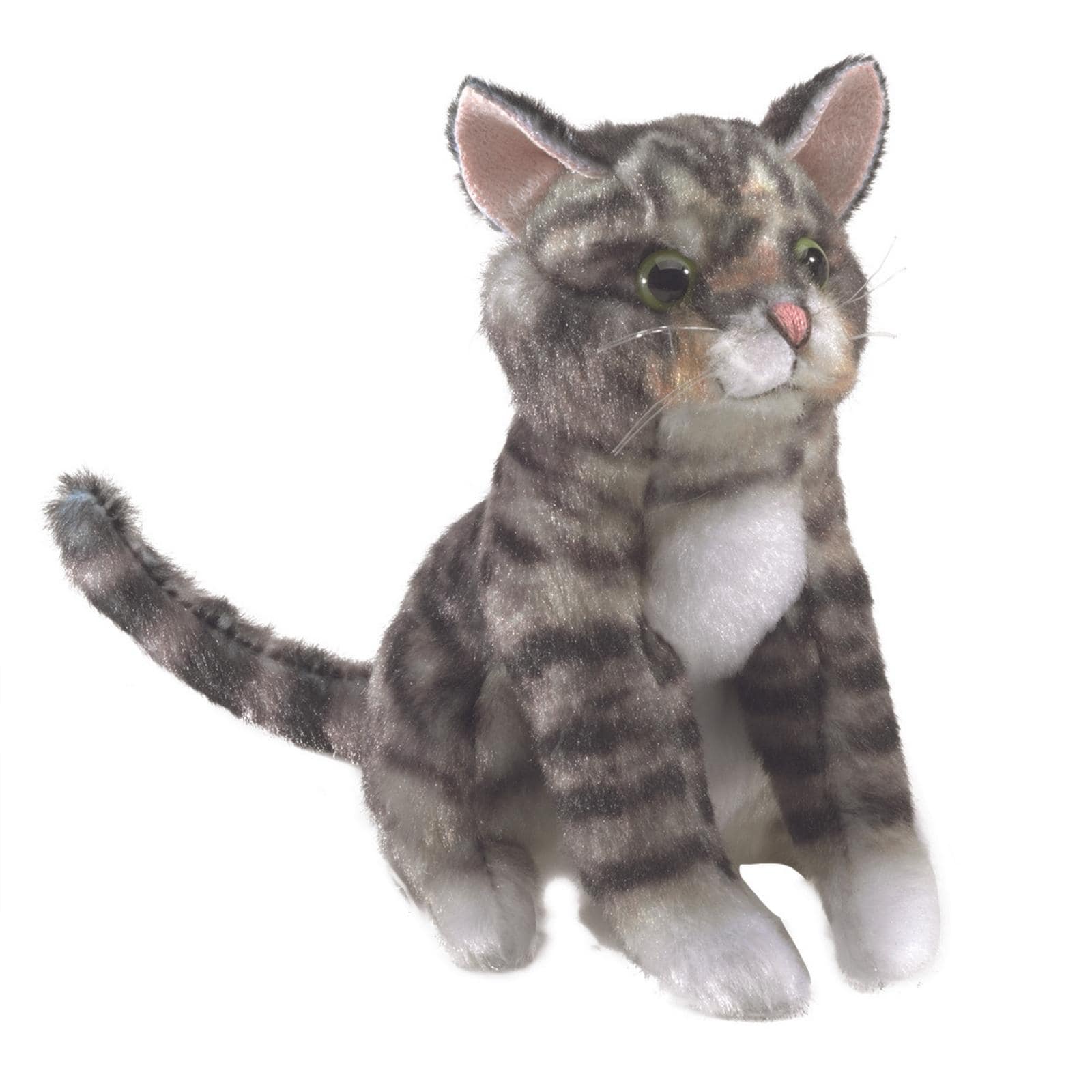 Mini Tabby Cat