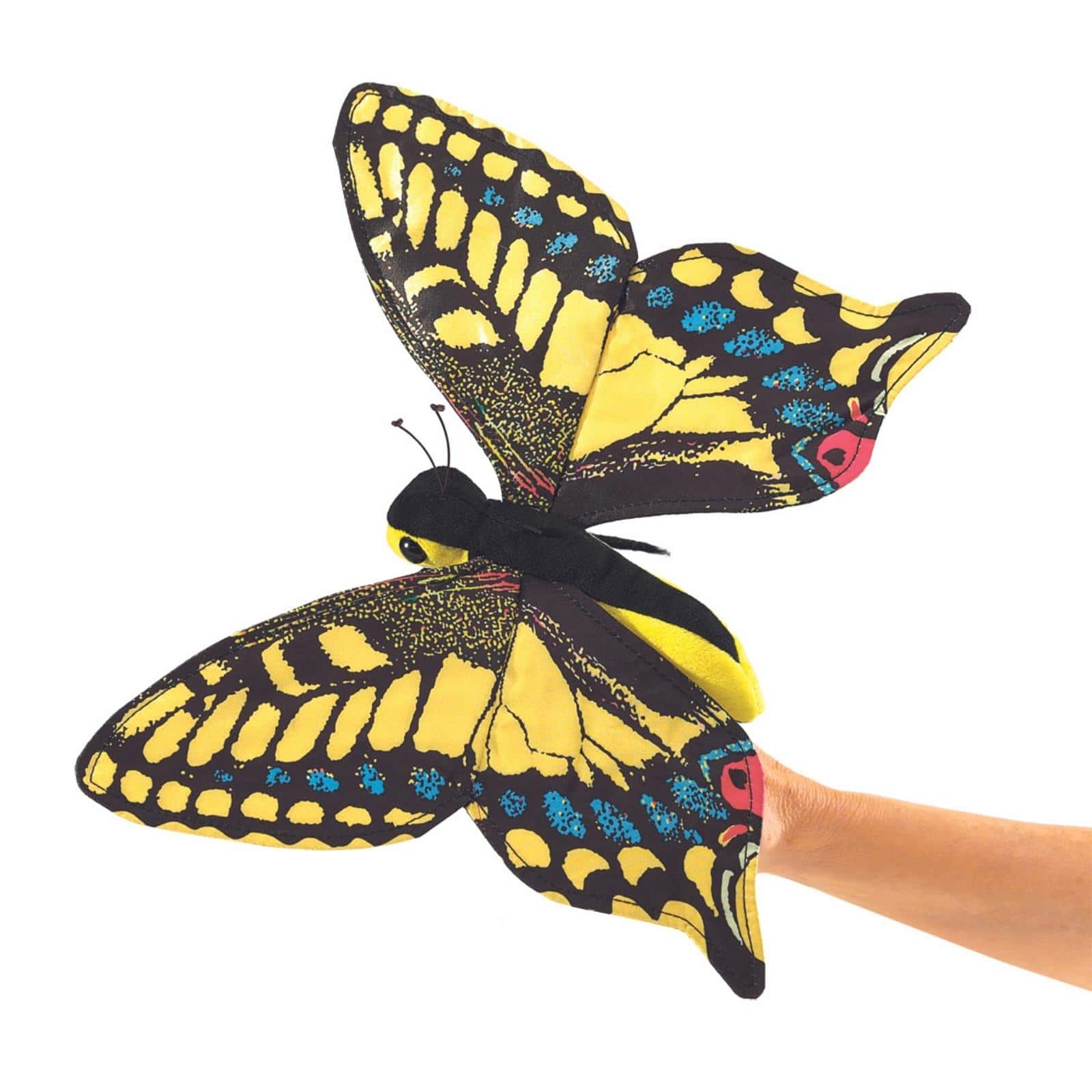 Swallowtail Butterfly