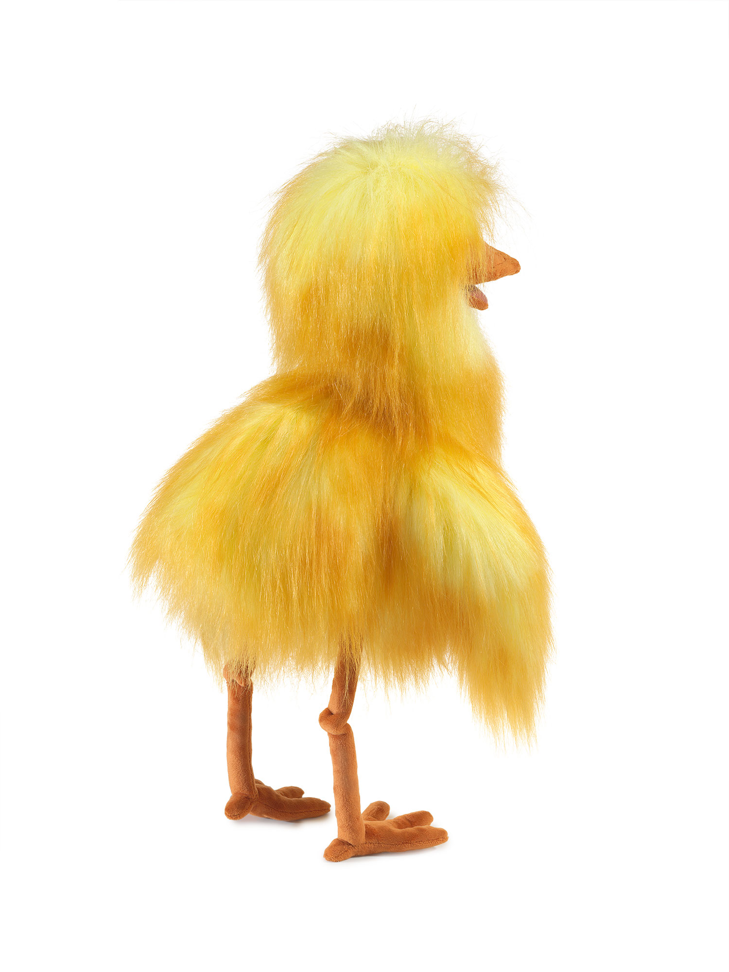 Funny Bird