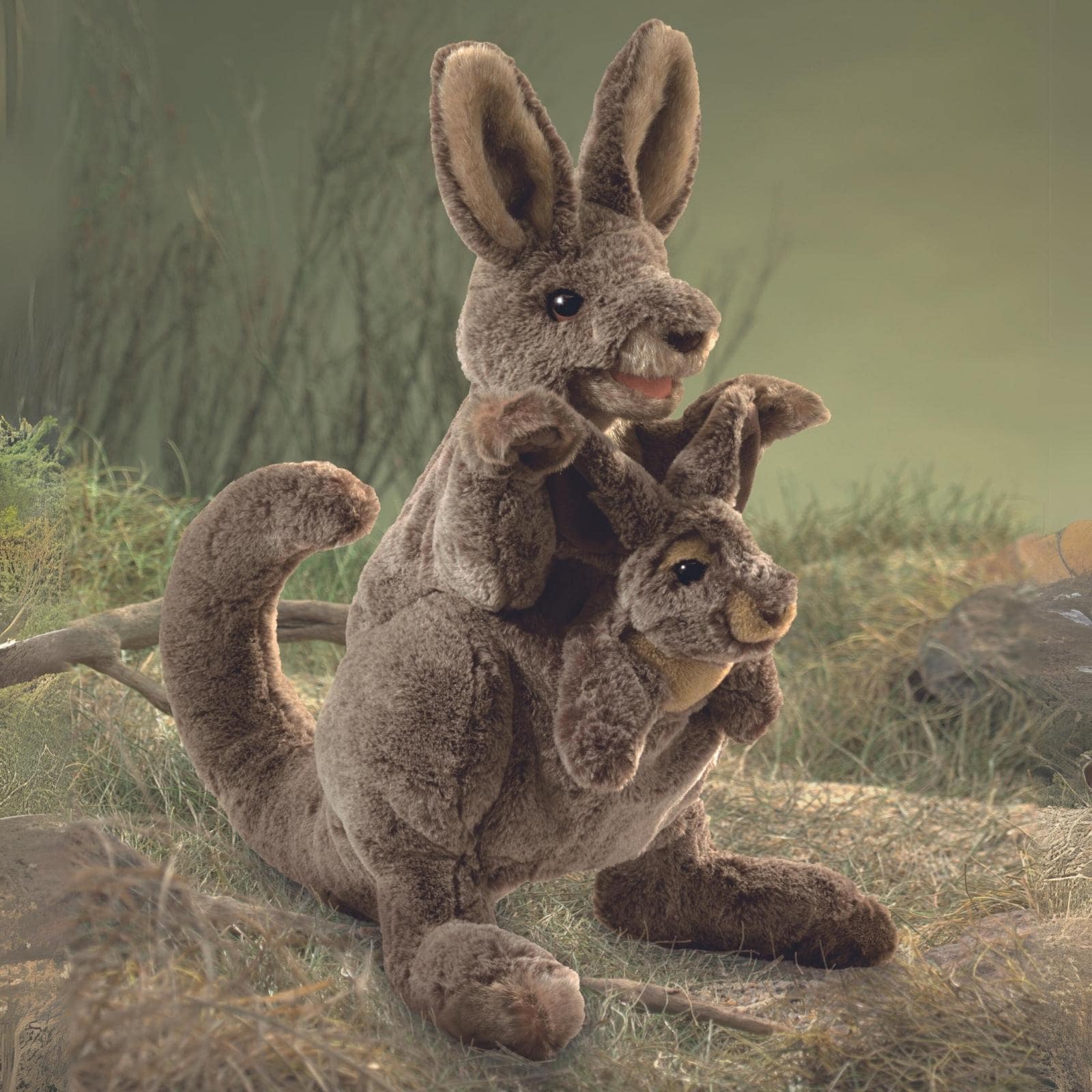 Kangaroo with Joey