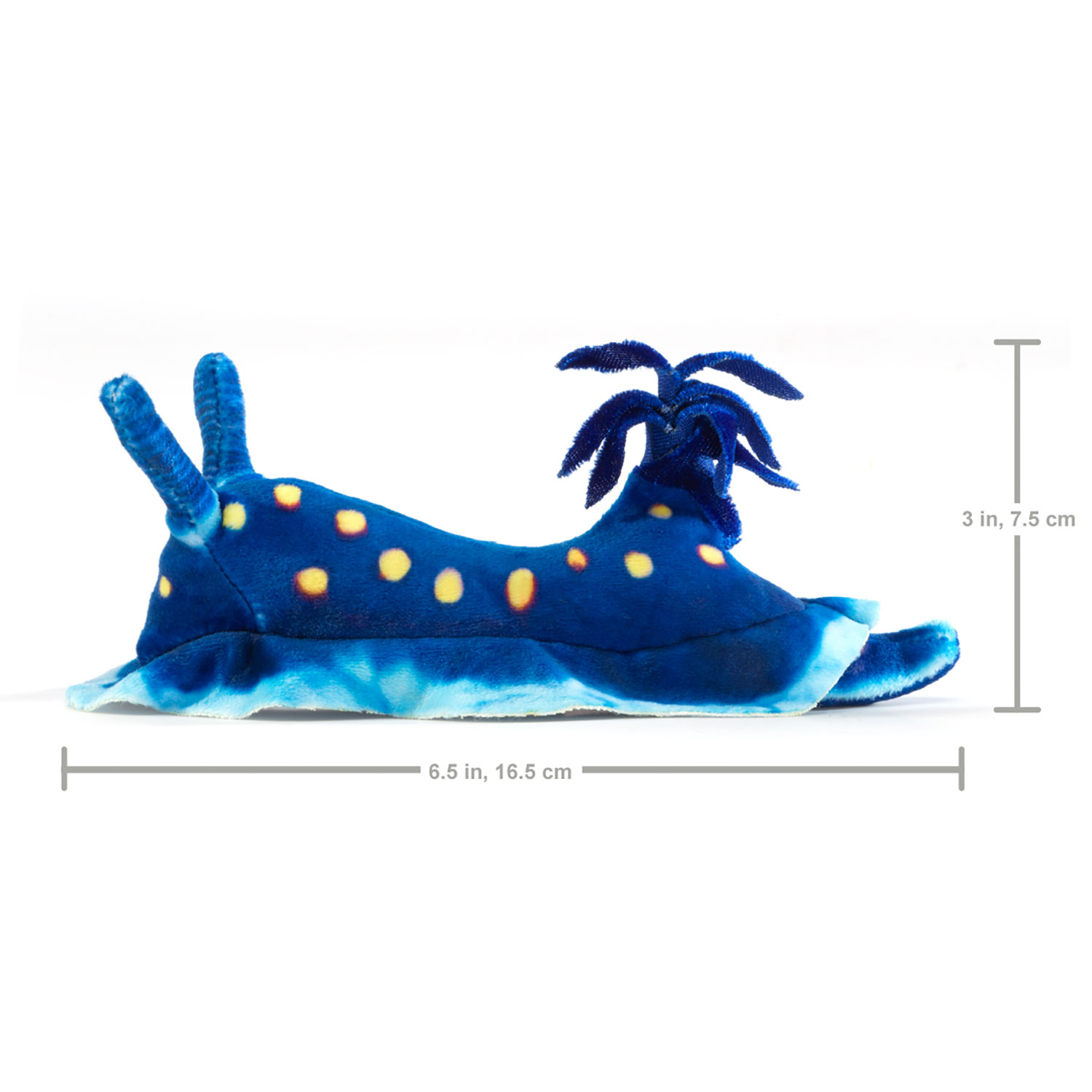 Mini Blue Nudibranch