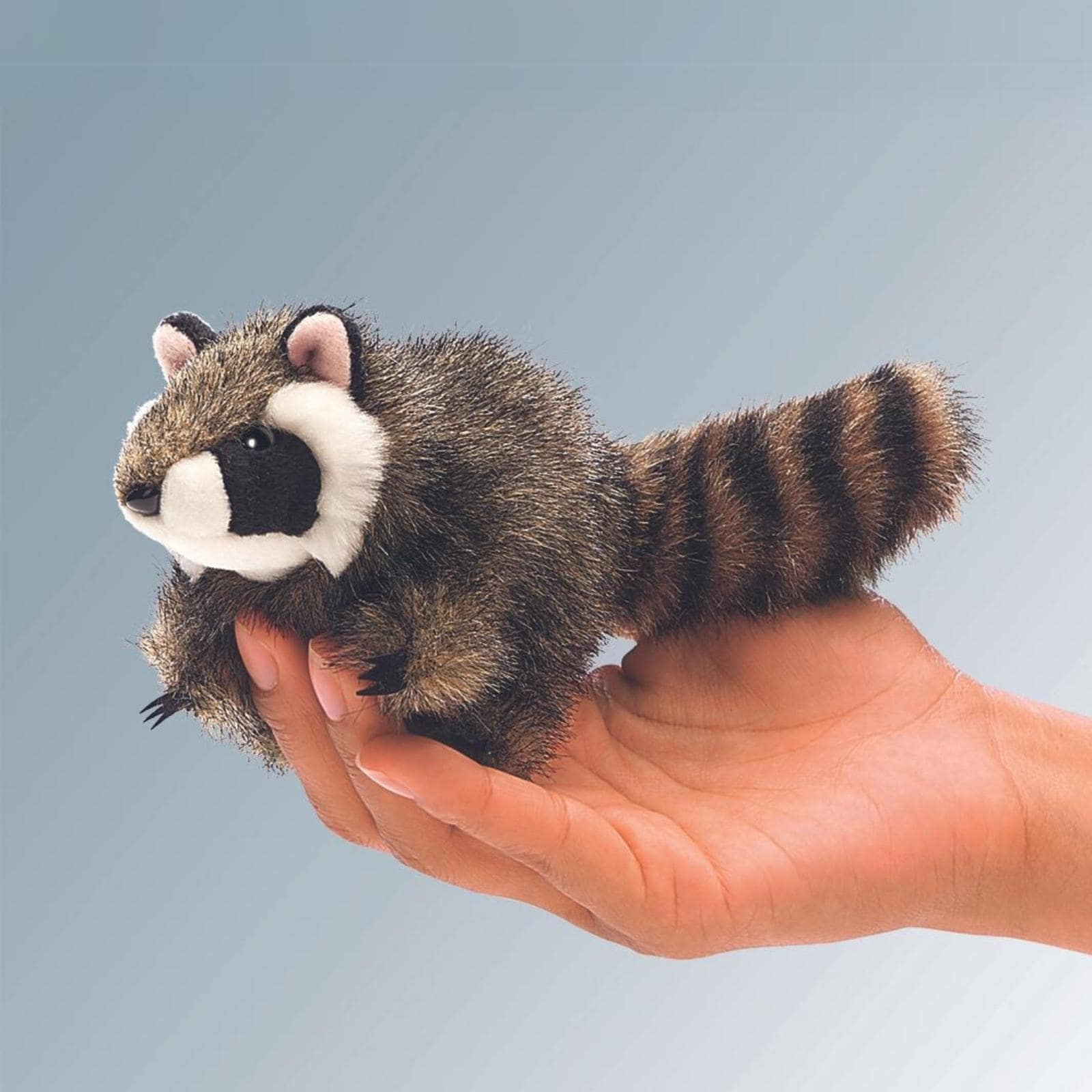 Mini Raccoon