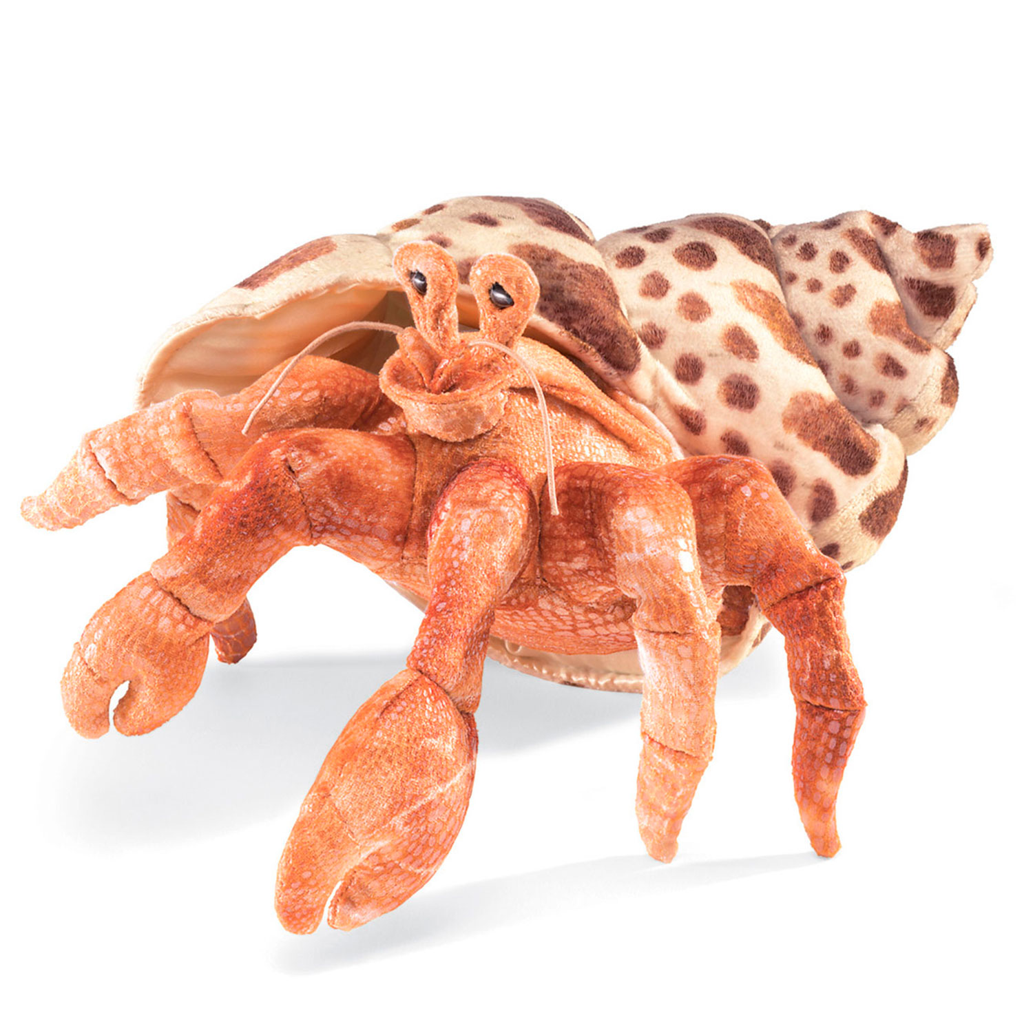 Hermit Crab