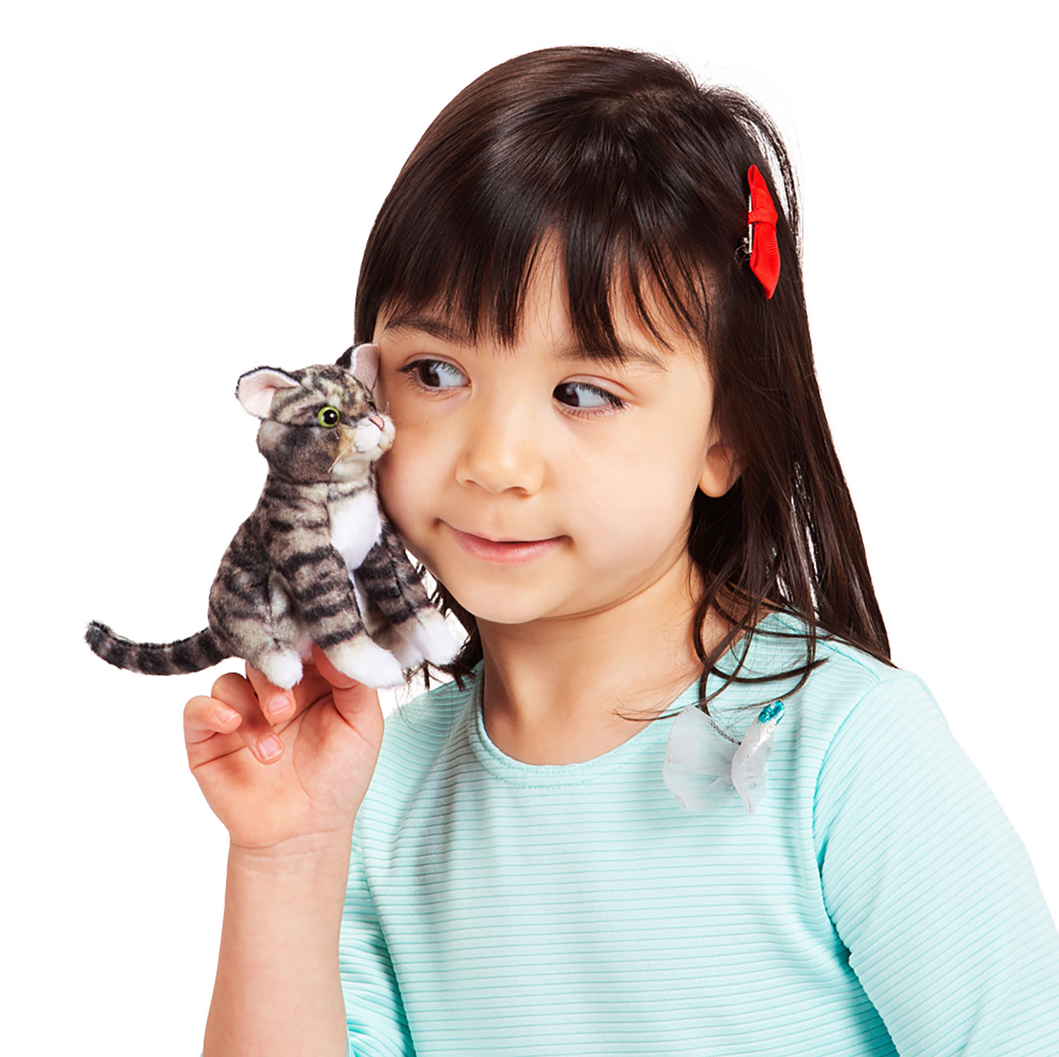 Mini Tabby Cat