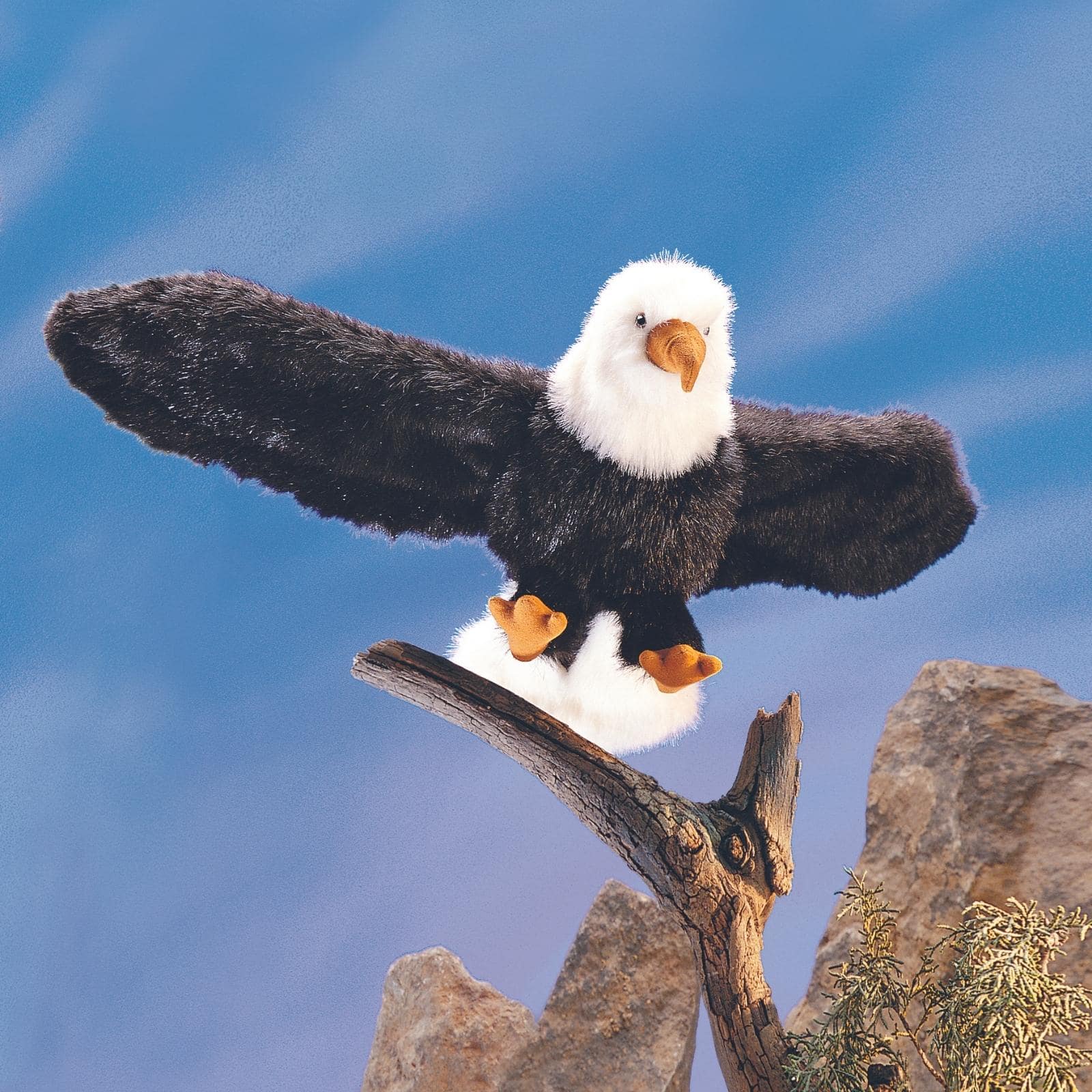 Eagle