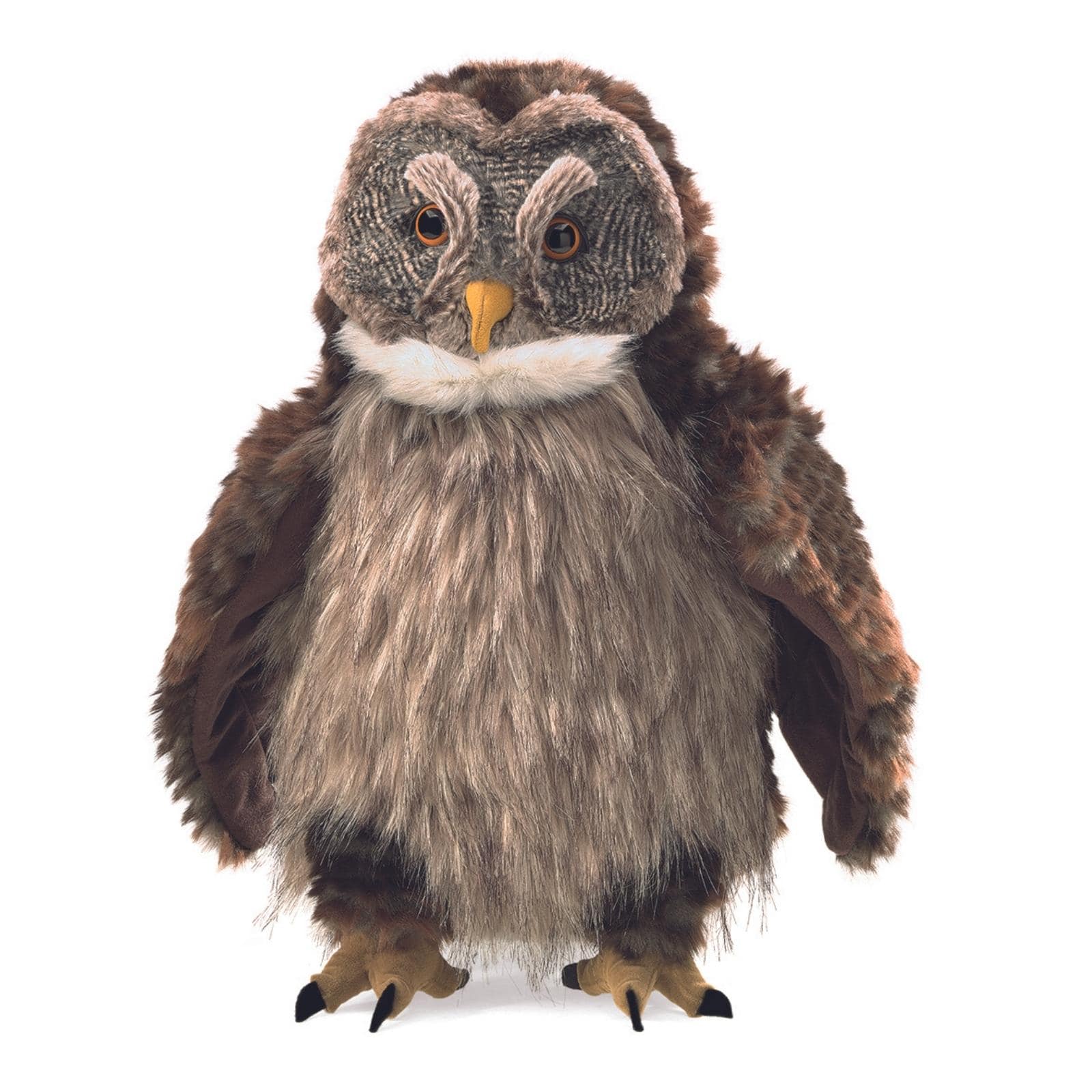 Hooting Owl