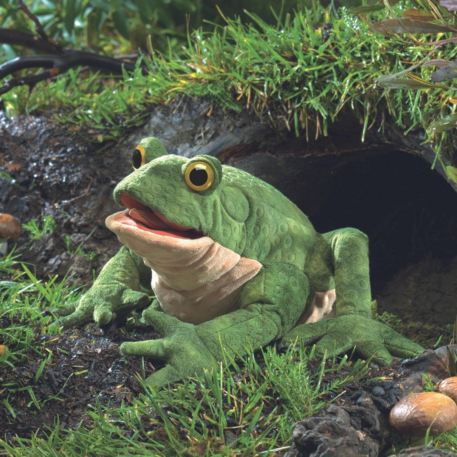 Toad
