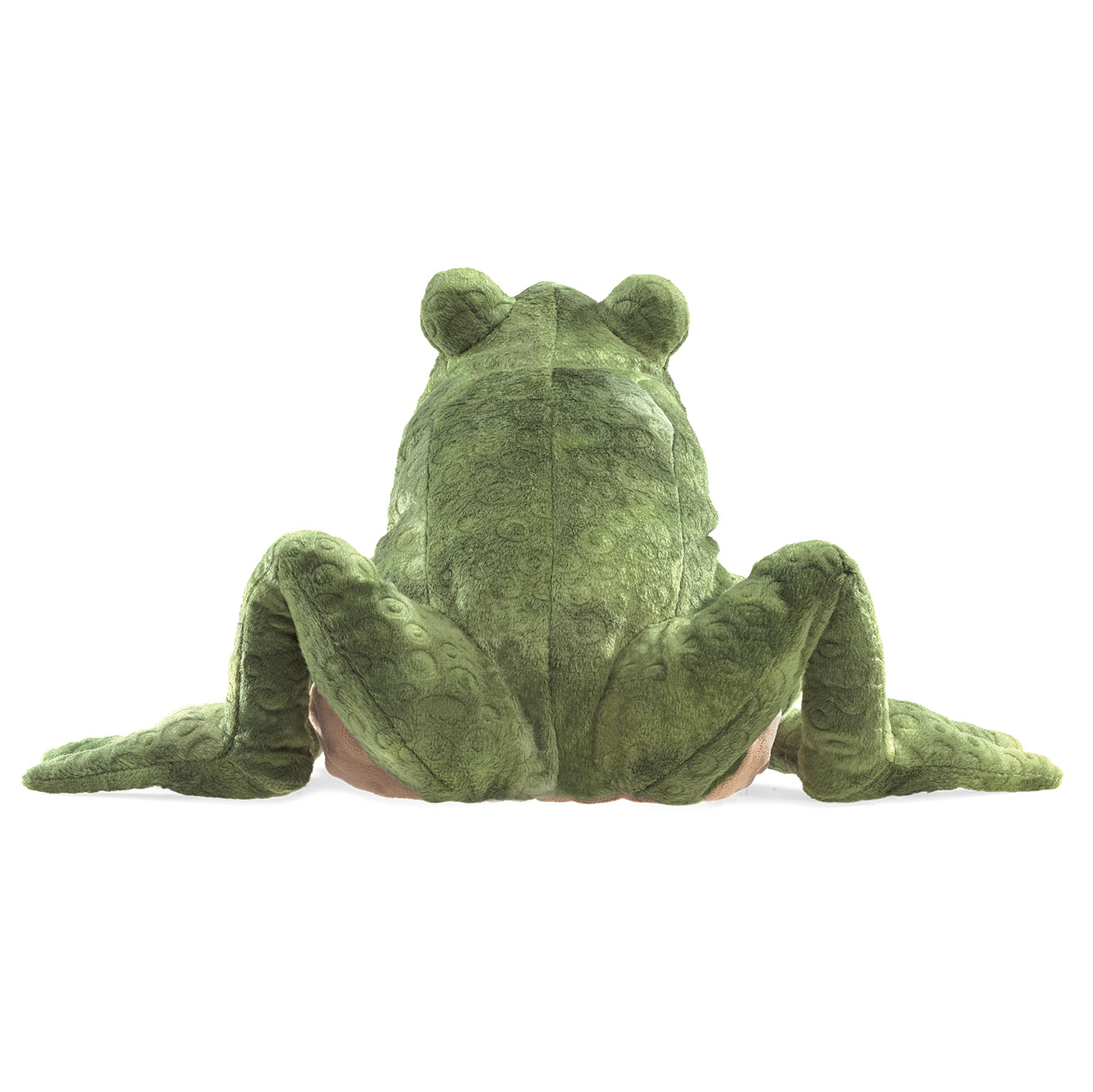Toad