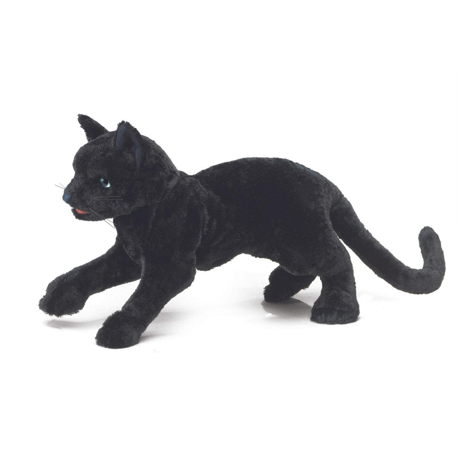 Black Cat