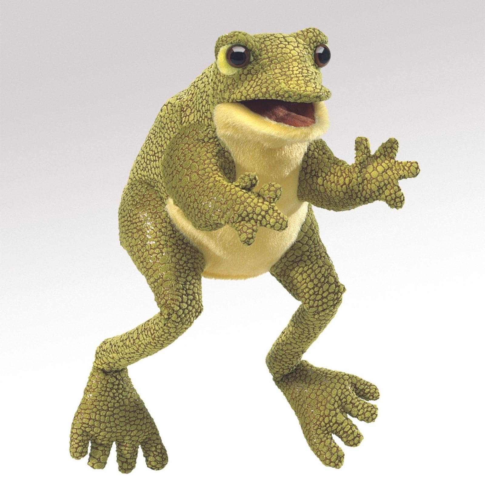 Funny Frog