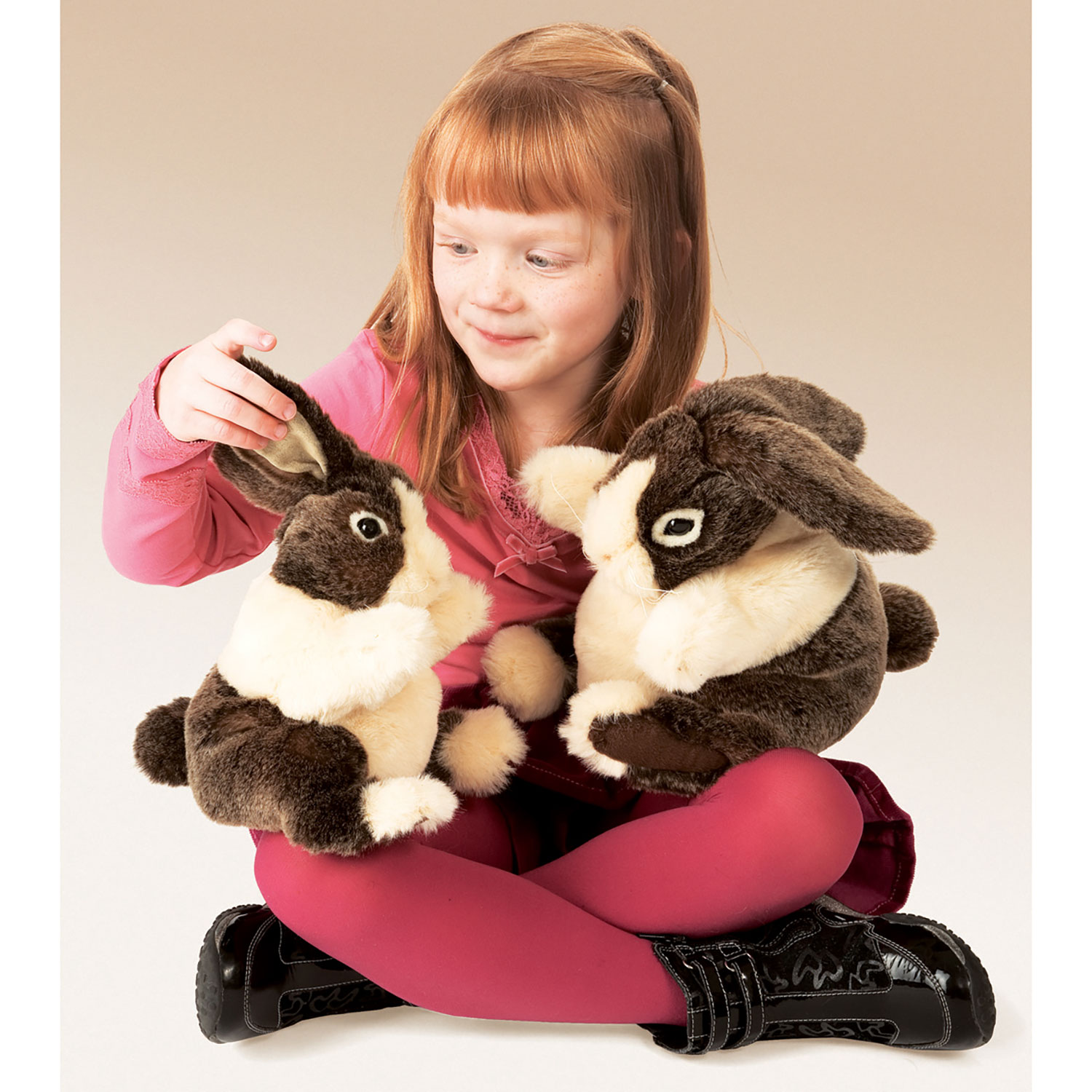 Baby Dutch Rabbit