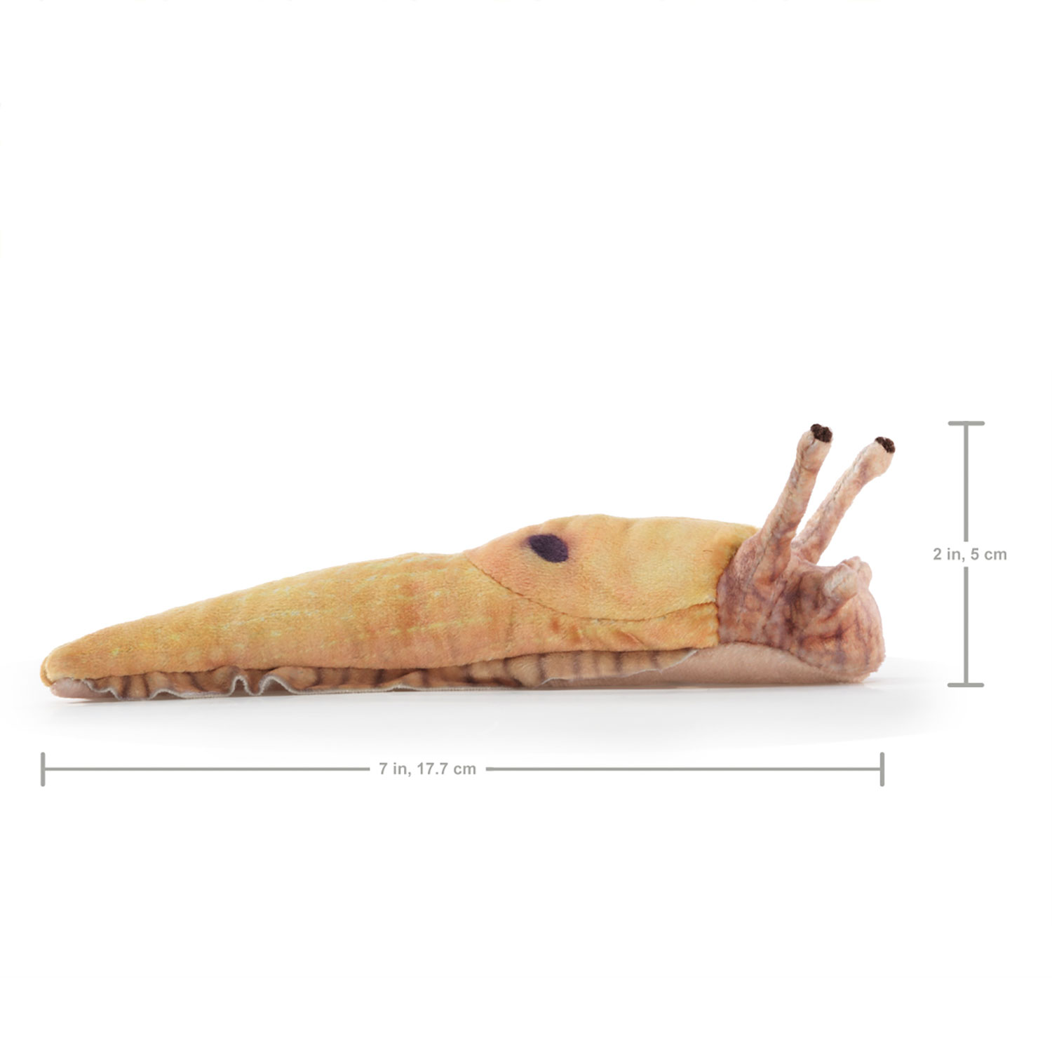 Mini Banana Slug
