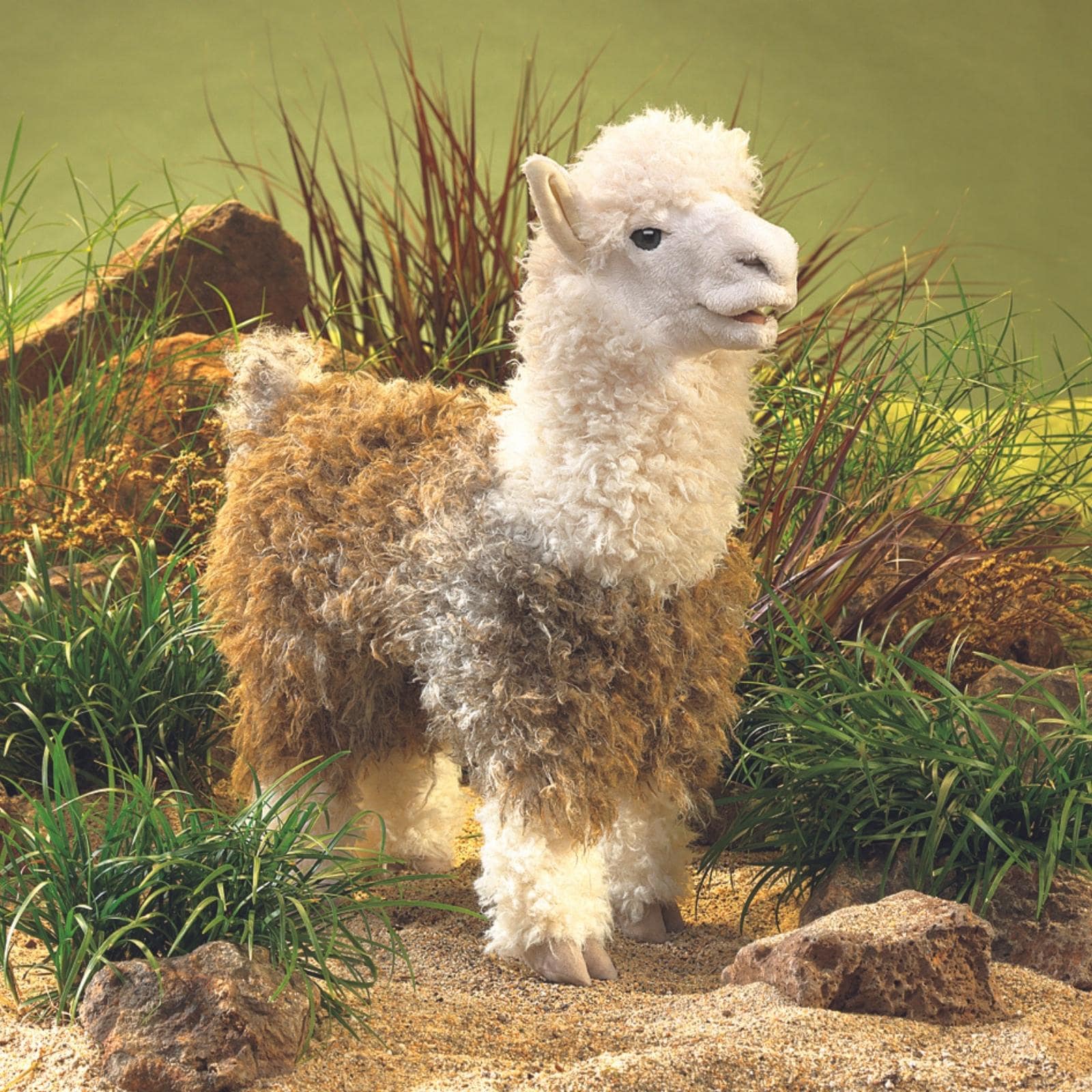 Alpaca