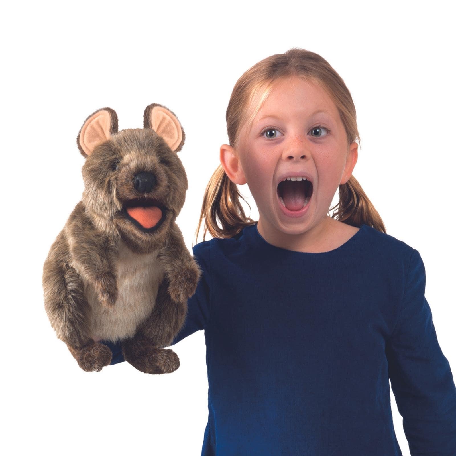 Quokka