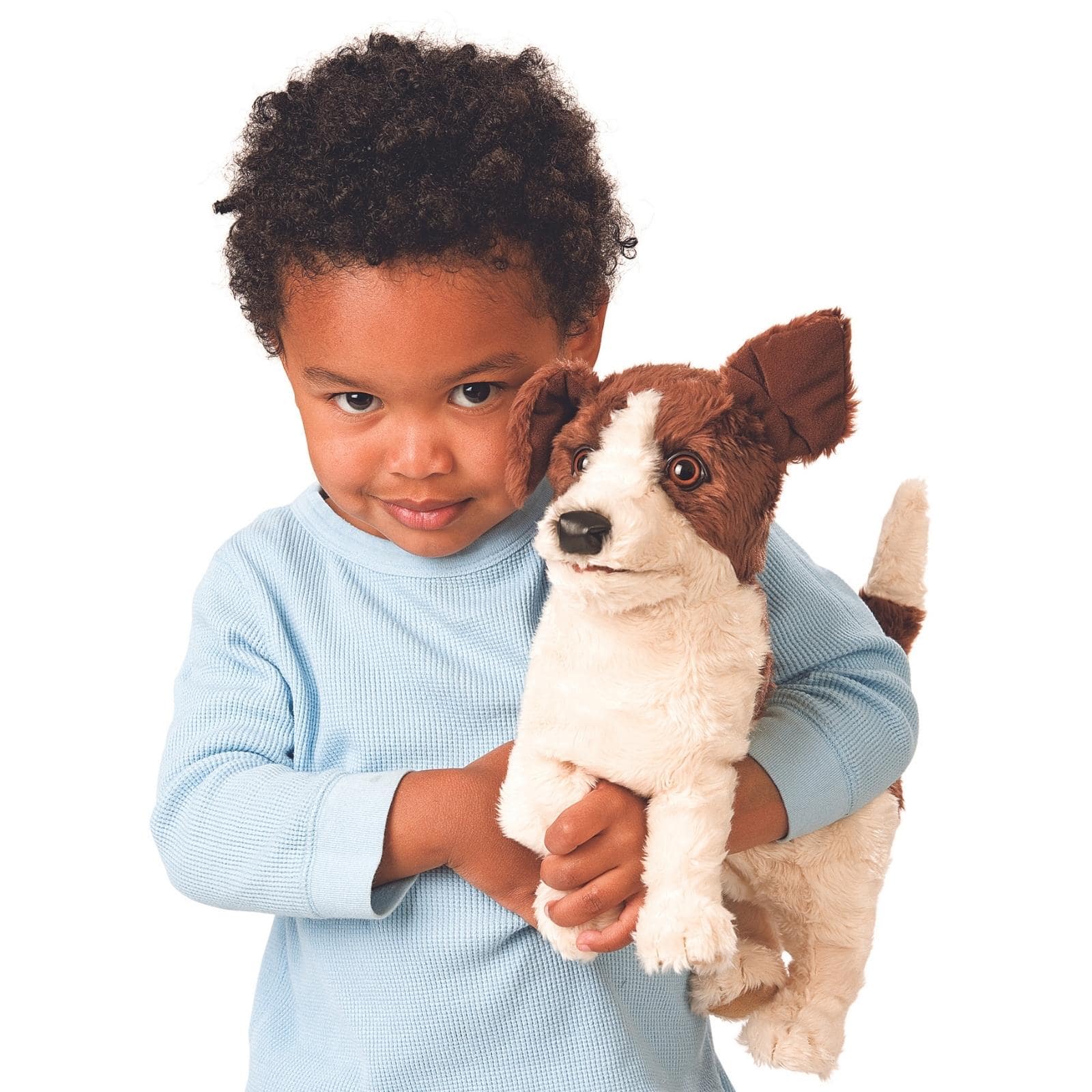Jack Russell Terrier