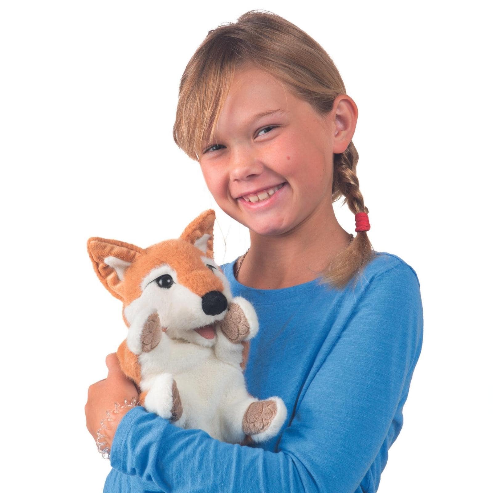 Shibu Inu Puppy