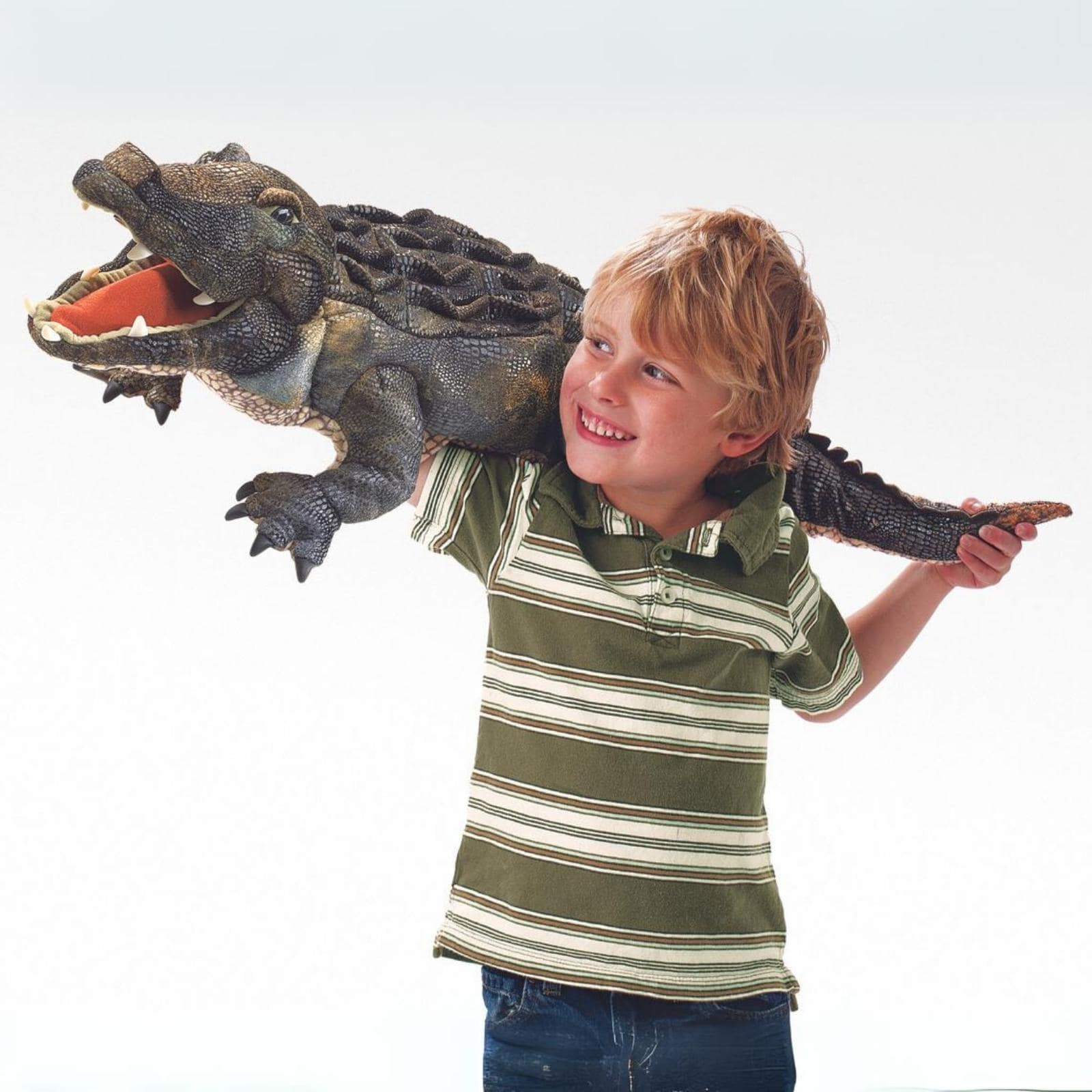 American Alligator