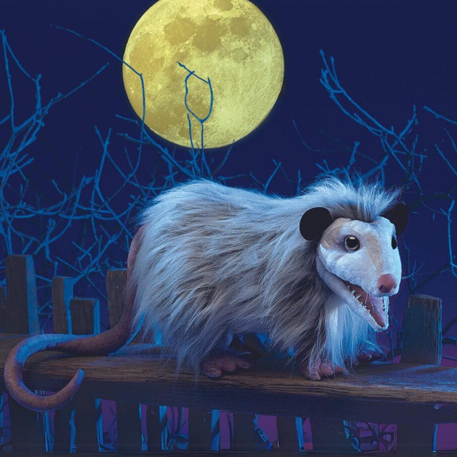 Opossum (New version)