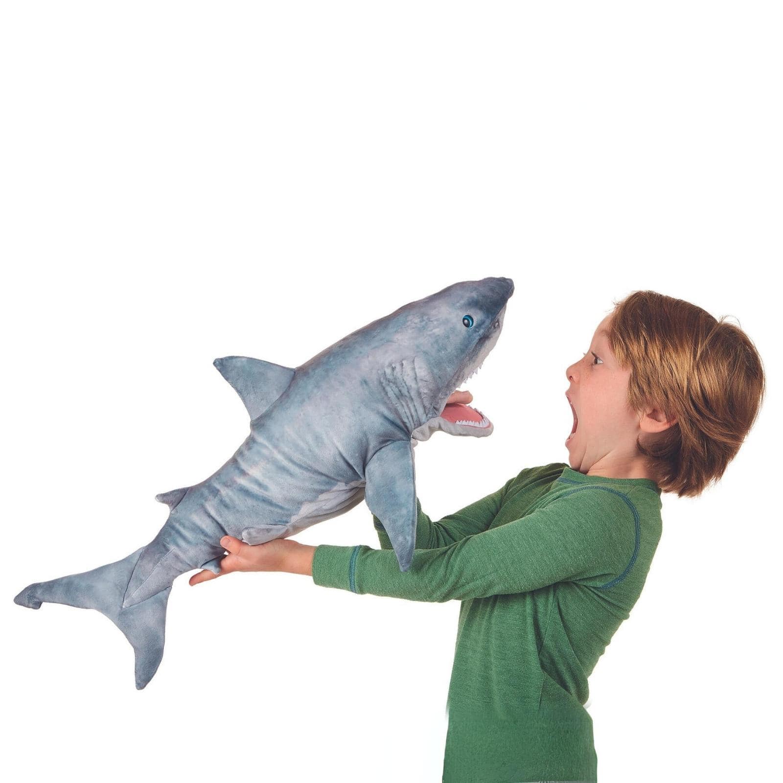Great white shark