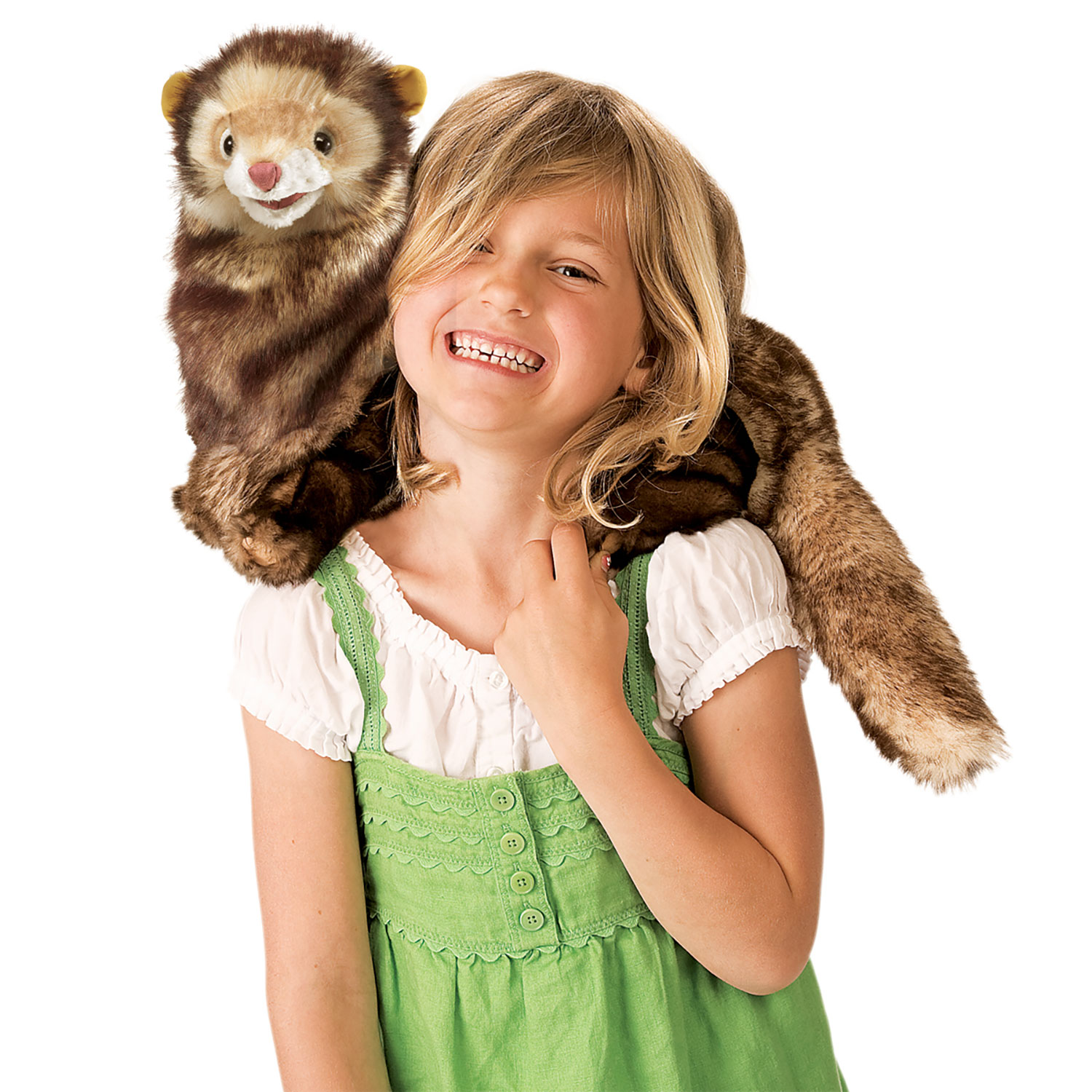 Ferret