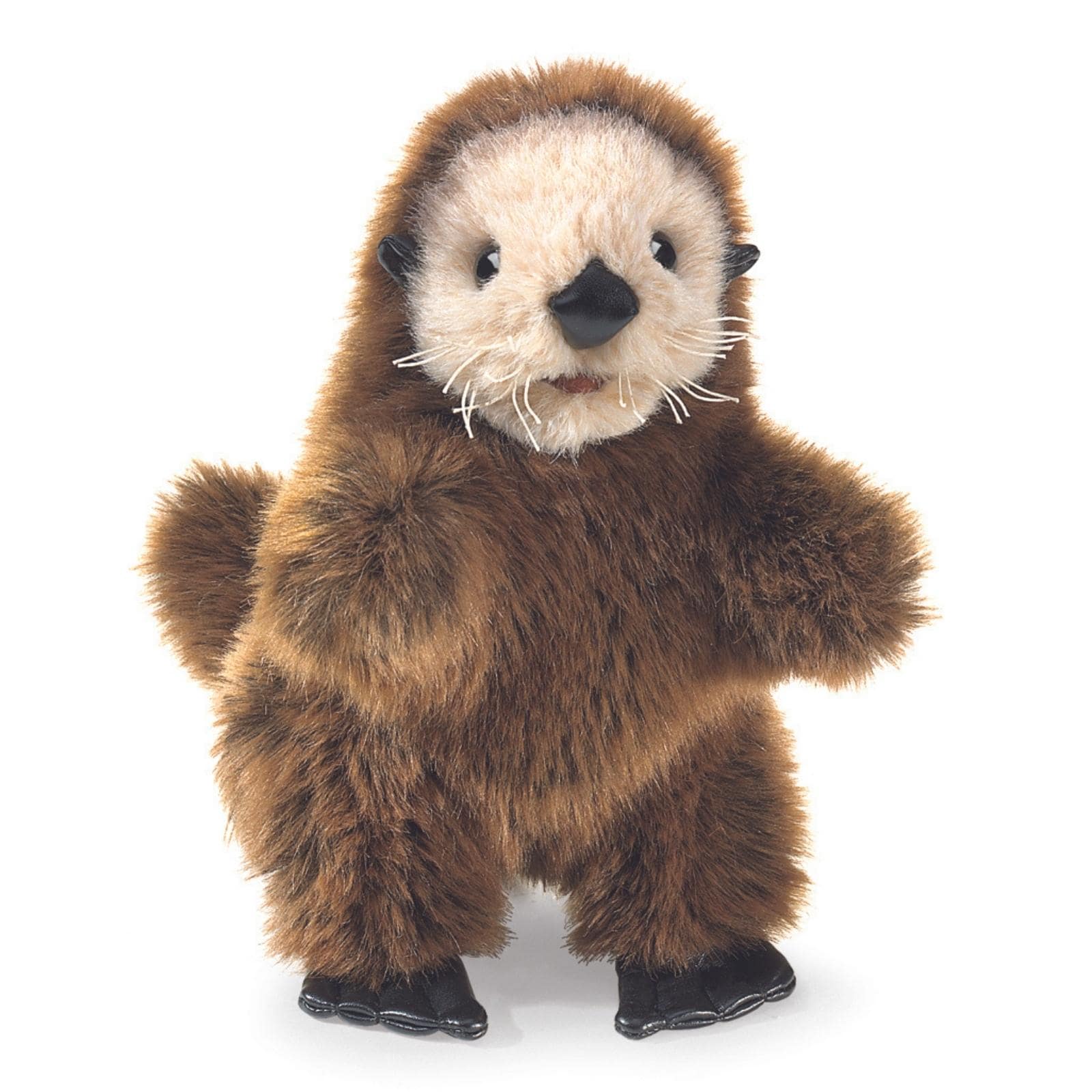 Baby Sea Otter