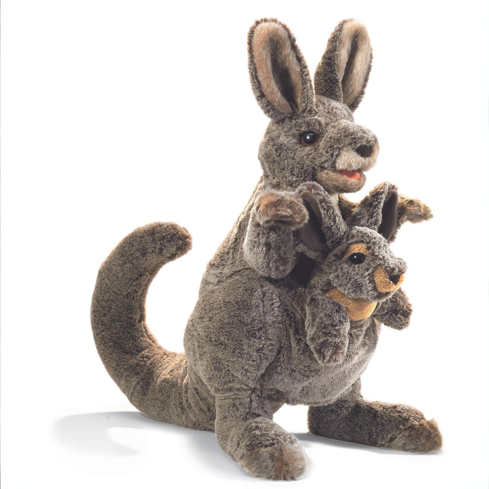 Kangaroo with Joey