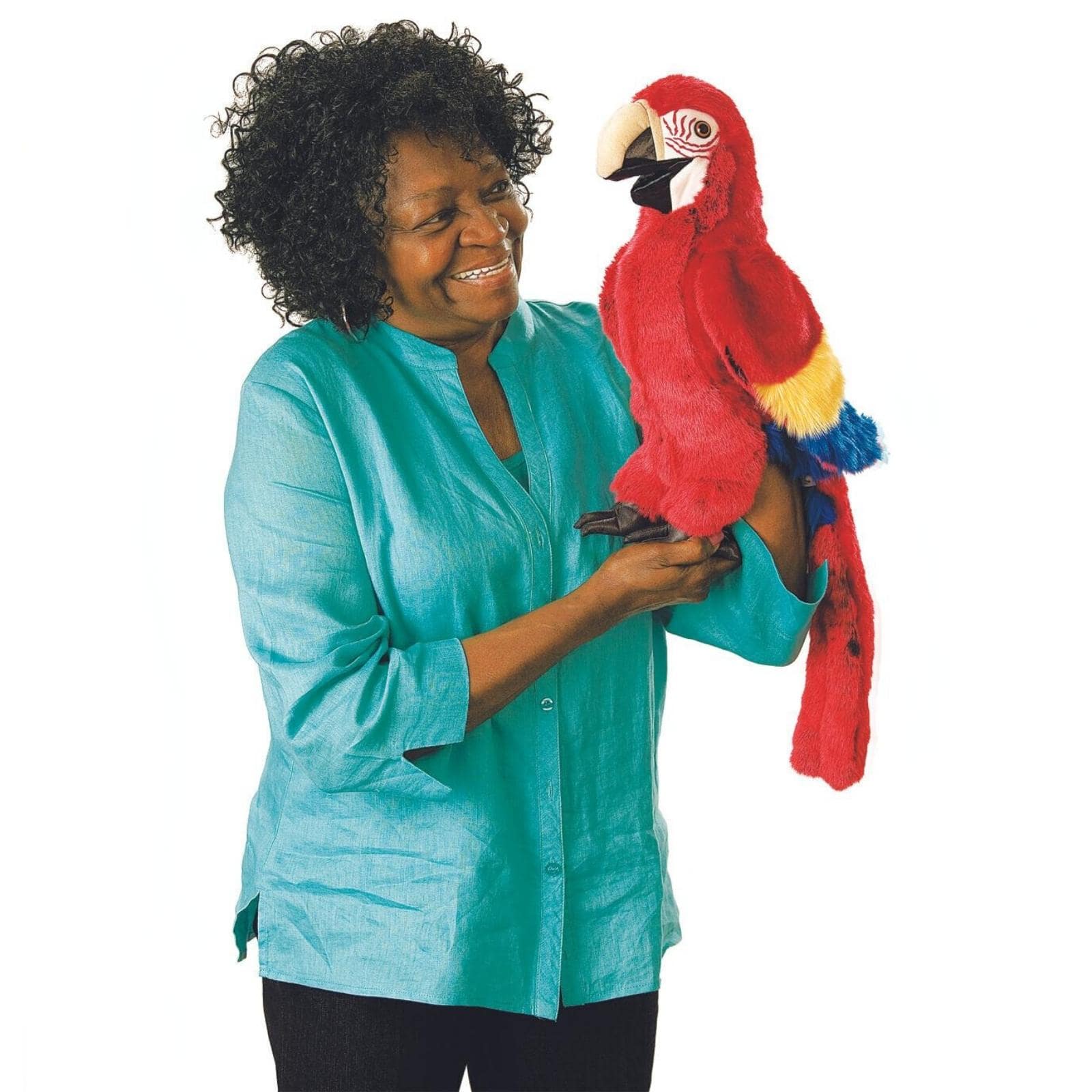 Scarlet Macaw