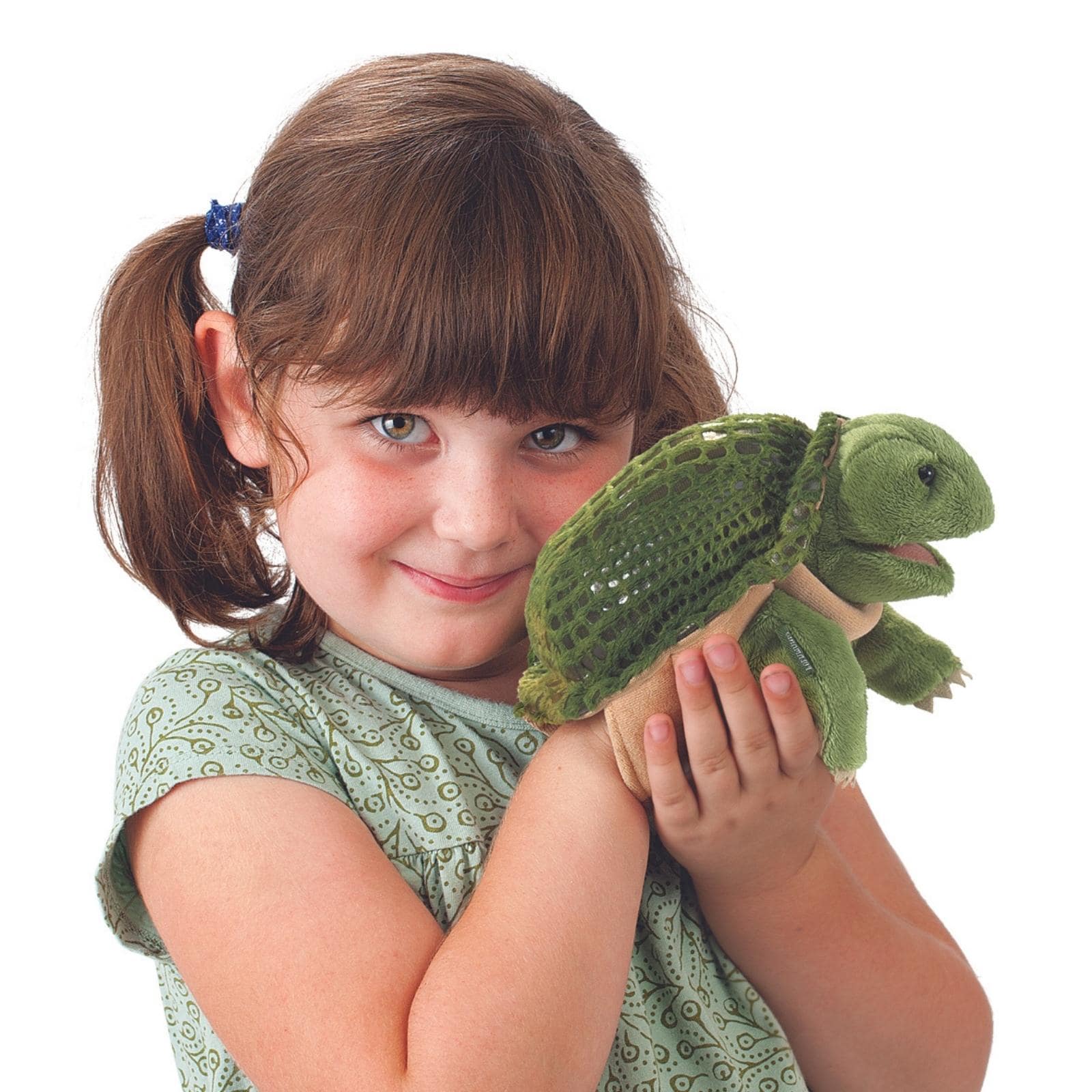 Little Turtle