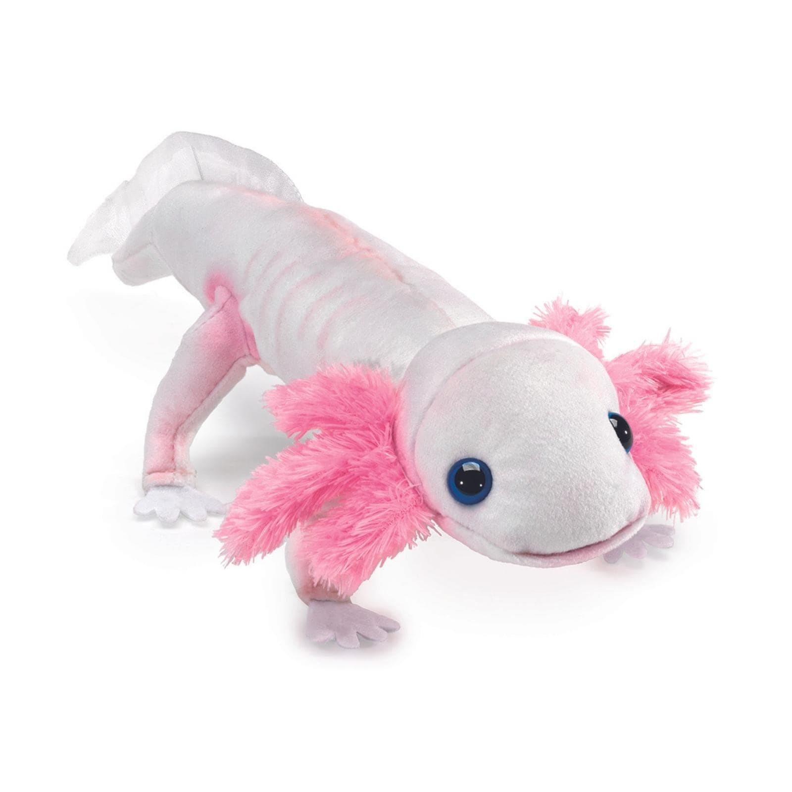 Axolotl