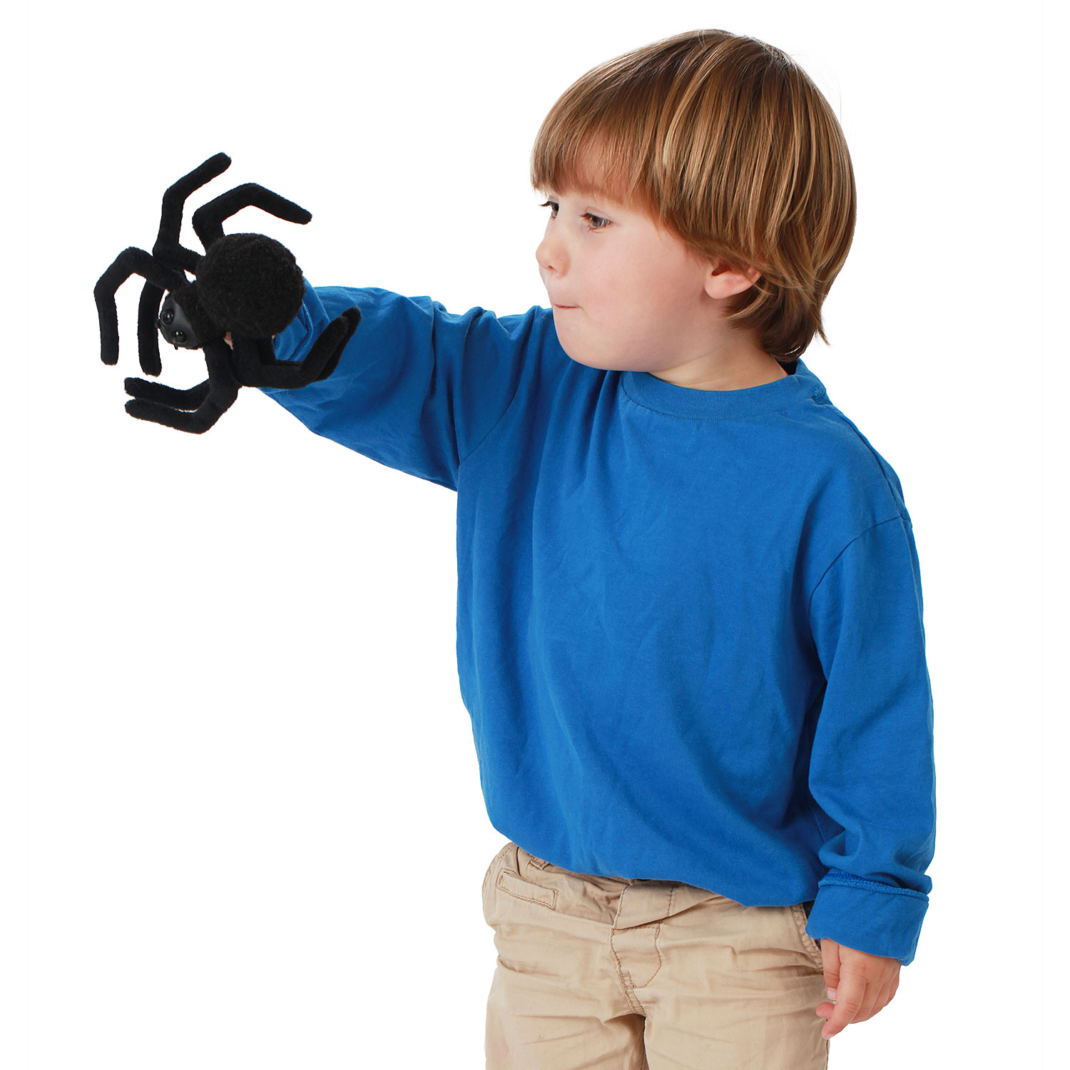 Mini Spider