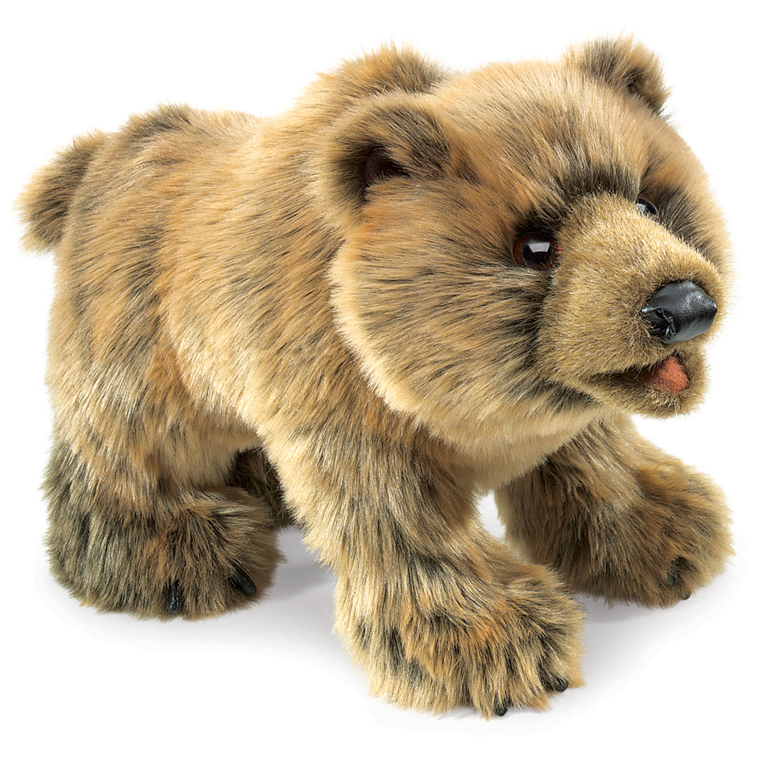 Grizzly Bear