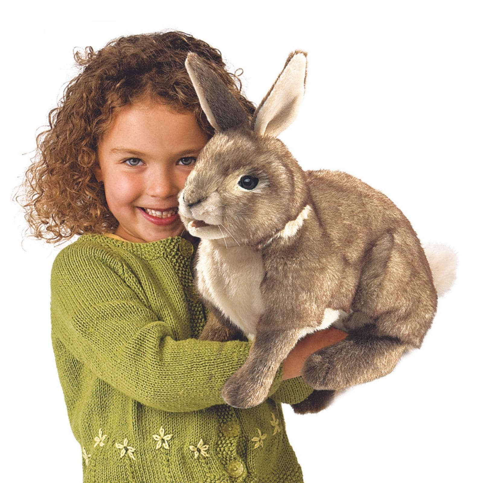 Rabbit, Cottontail