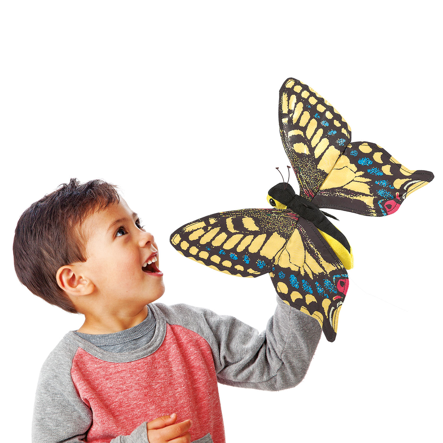 Swallowtail Butterfly