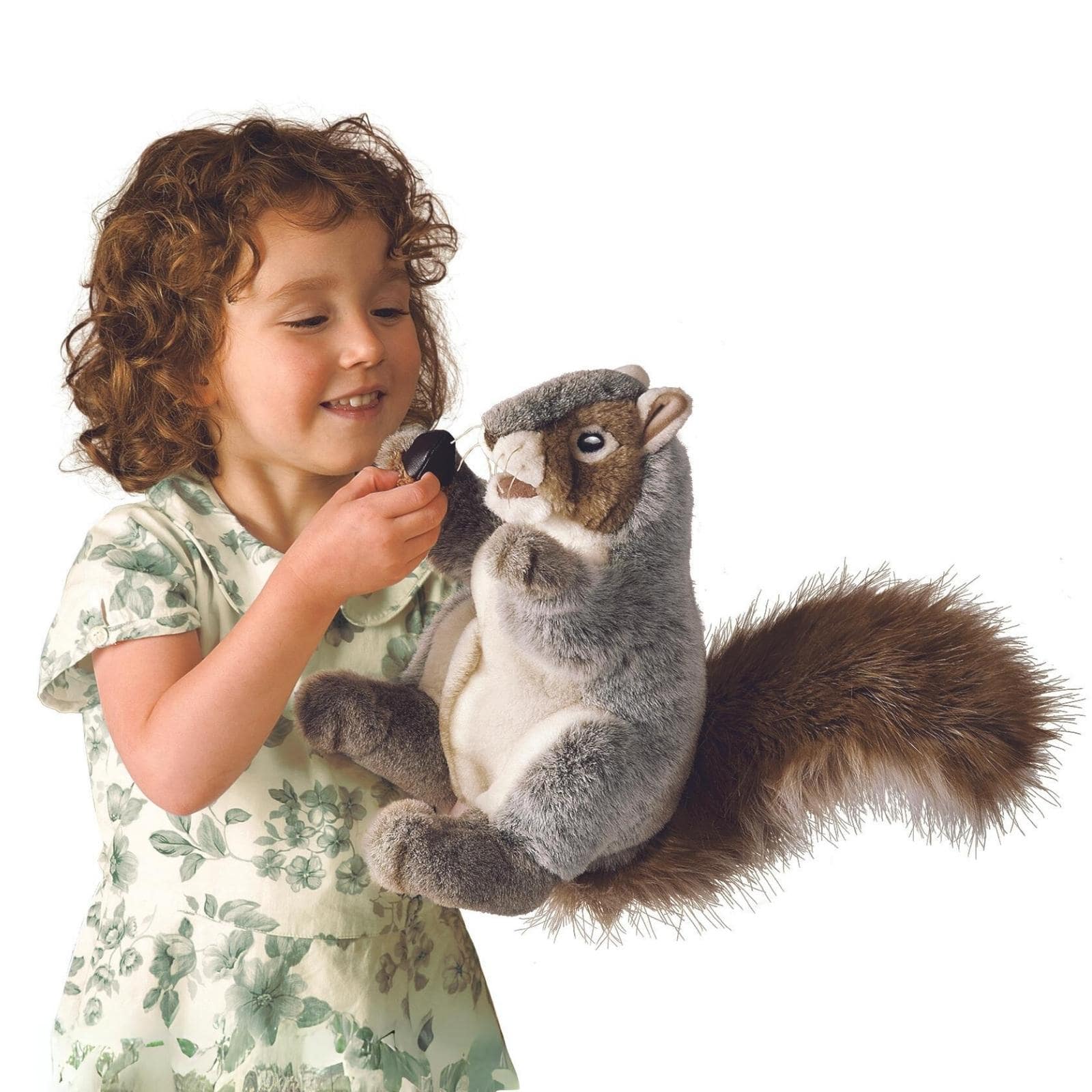 Grey Squirrel