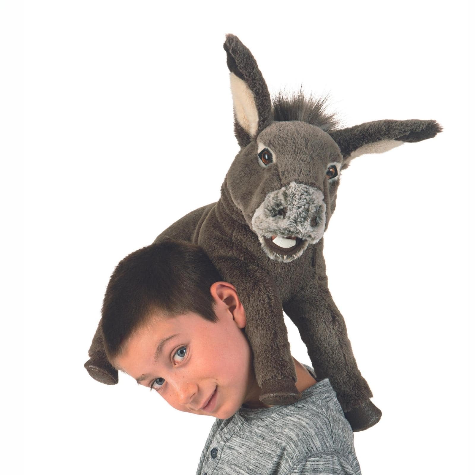 Baby Donkey