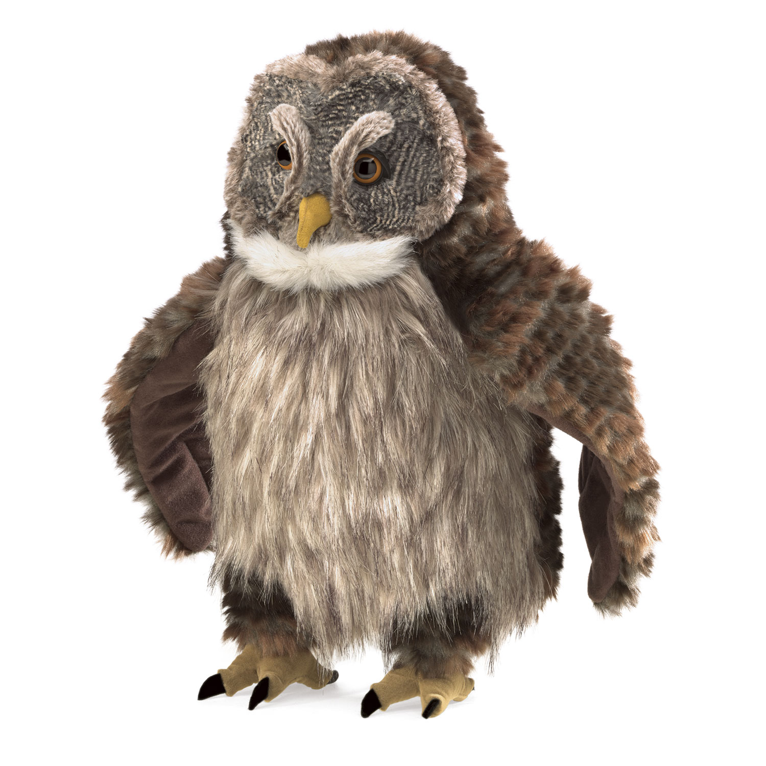 Hooting Owl