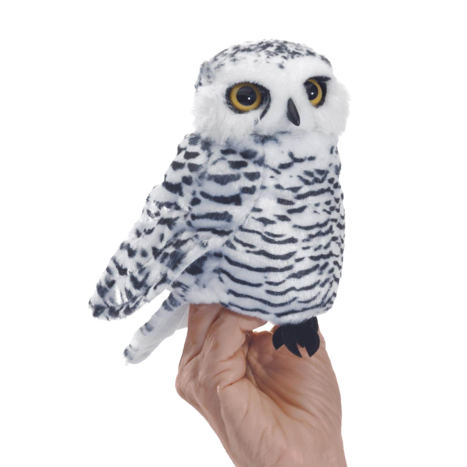 Small Snowy Owl